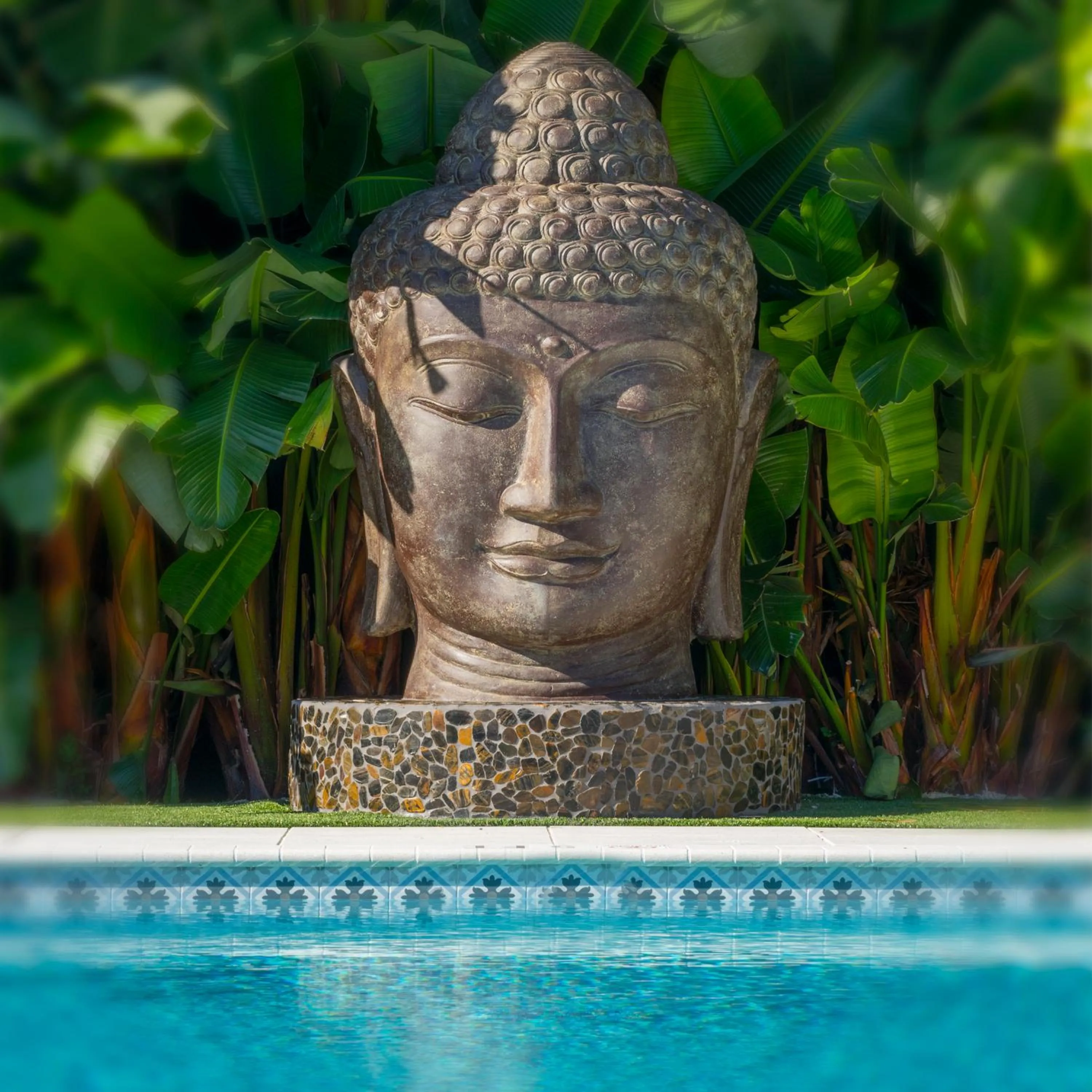 Swimming pool in Bungalows Key Largo - All Inclusive