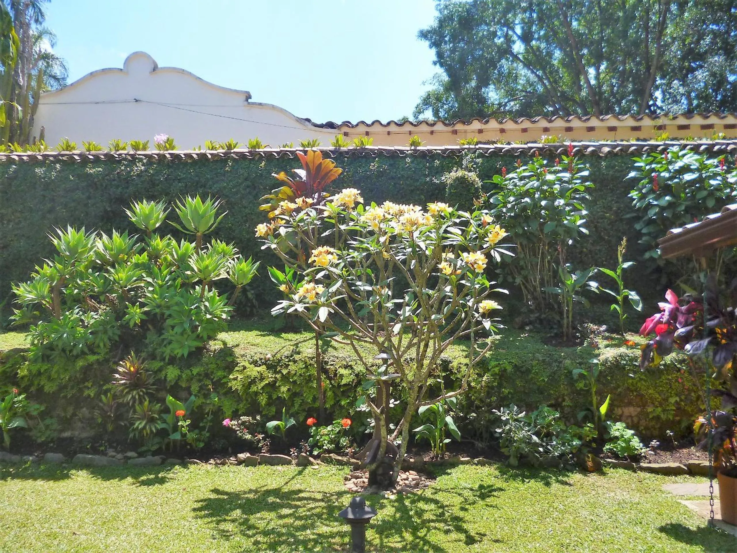 Garden in Hotel Poblado Campestre
