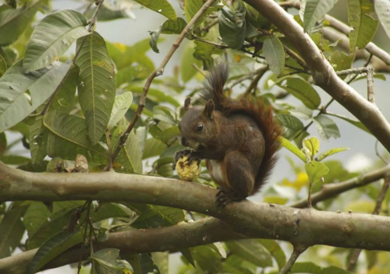 Off site in Hotel Poblado Campestre