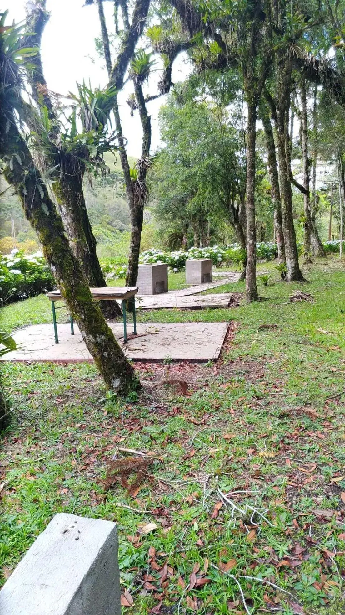 View (from property/room) in Plaza Inn Week Inn View (from property/room) in Plaza Inn Week Inn