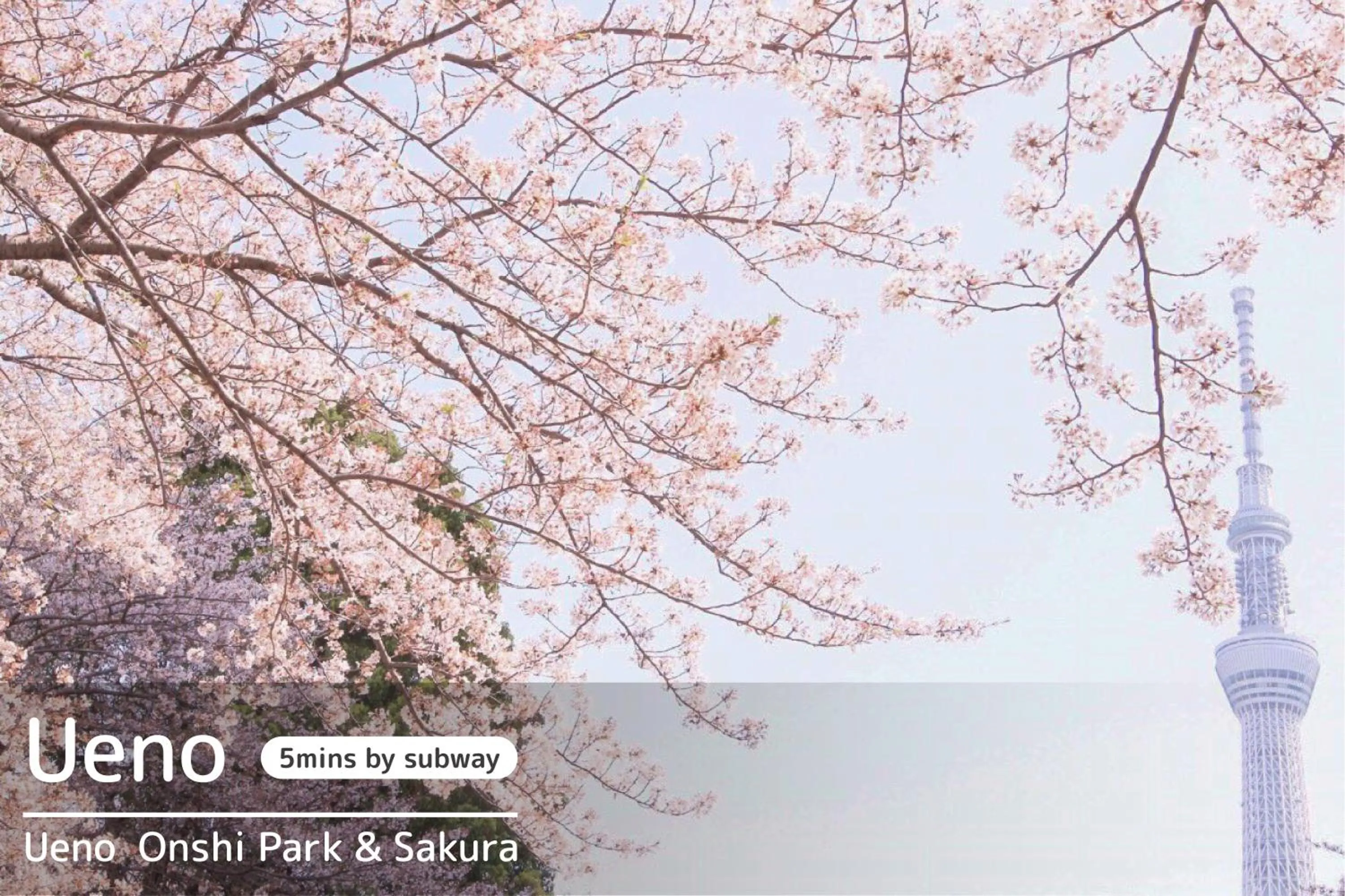 Nearby landmark in TOKYO-W-INN Asakusa