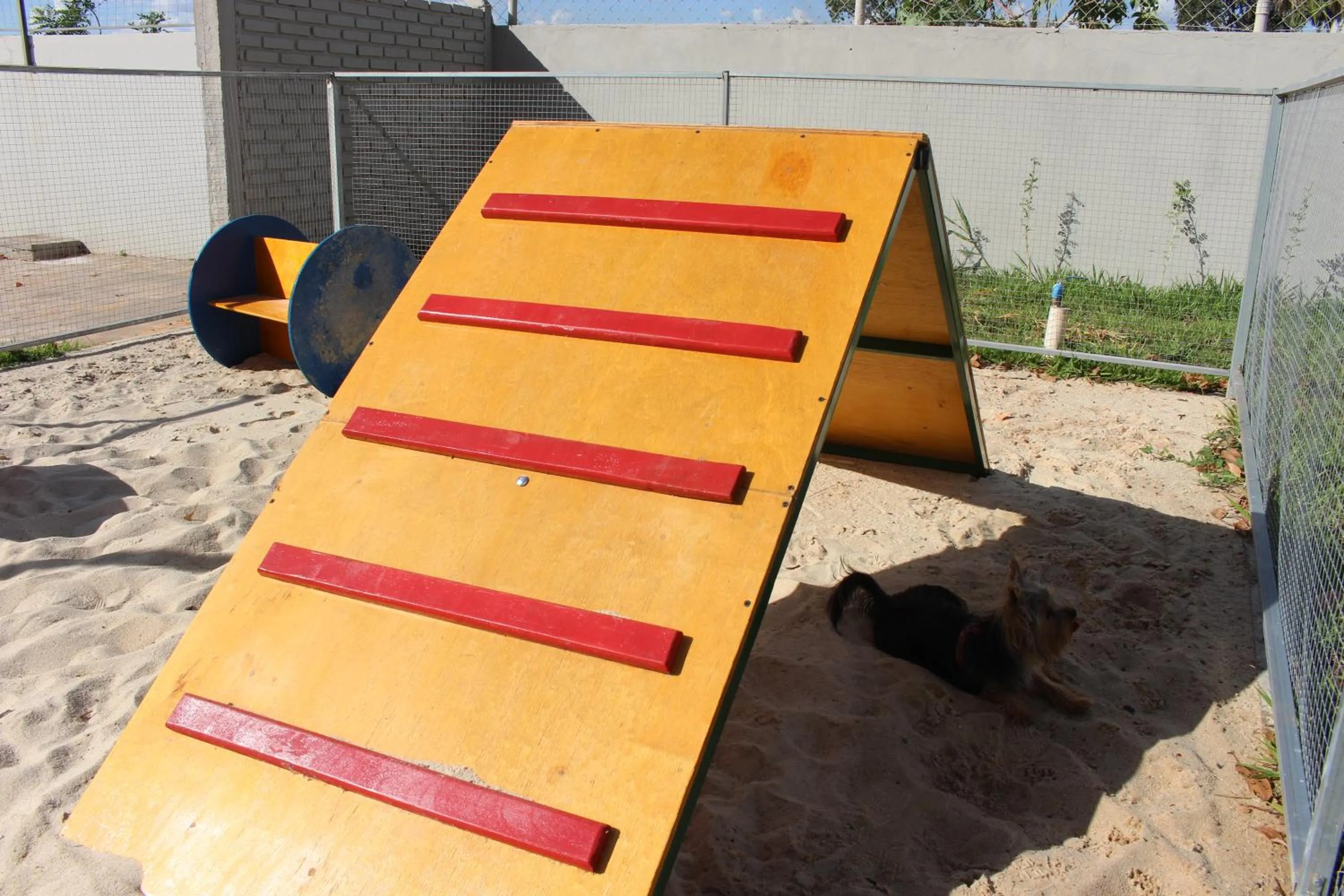 Pets in ibis Styles Rio Preto Monte Libano