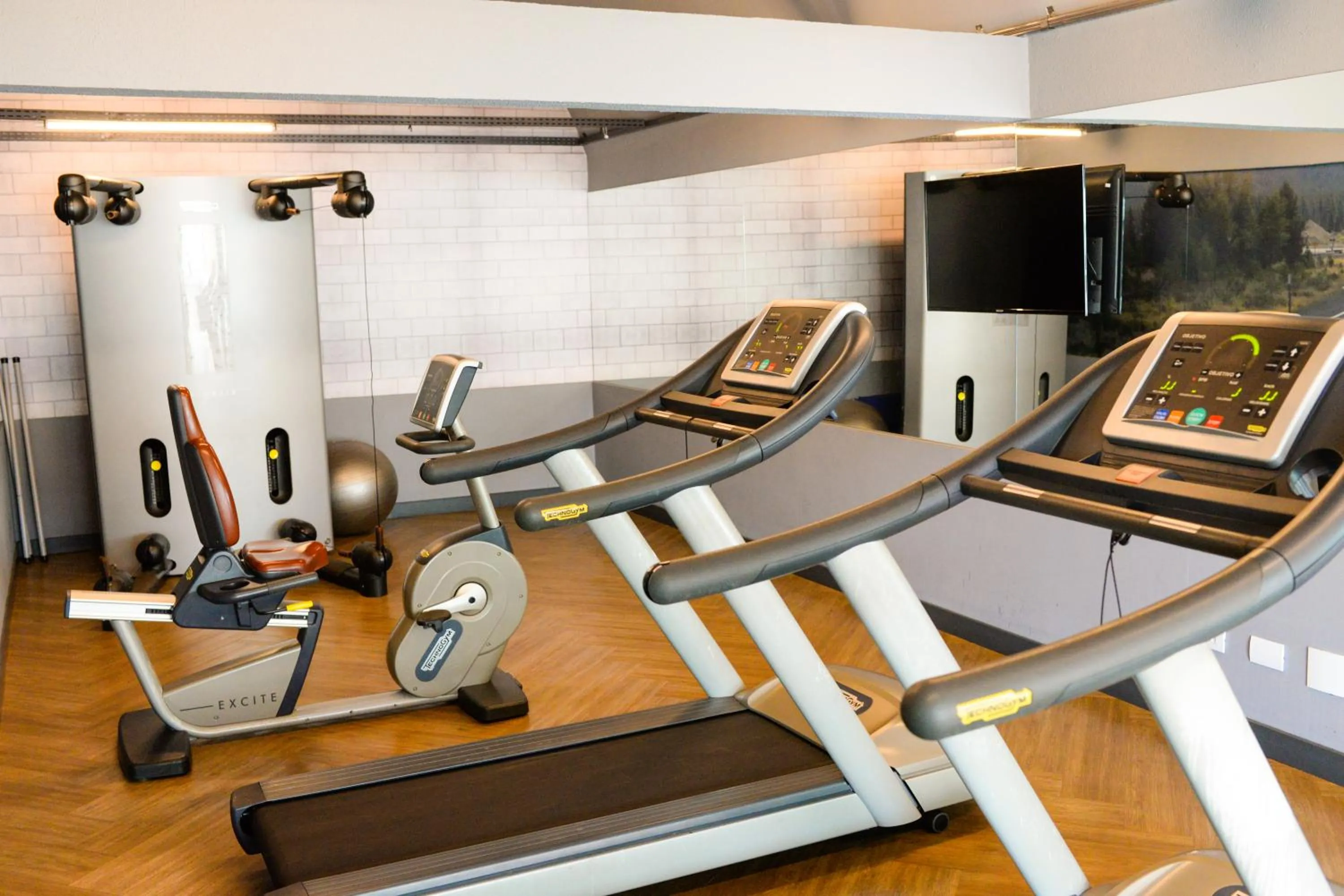 Fitness centre/facilities in ibis Styles Rio Preto Monte Libano