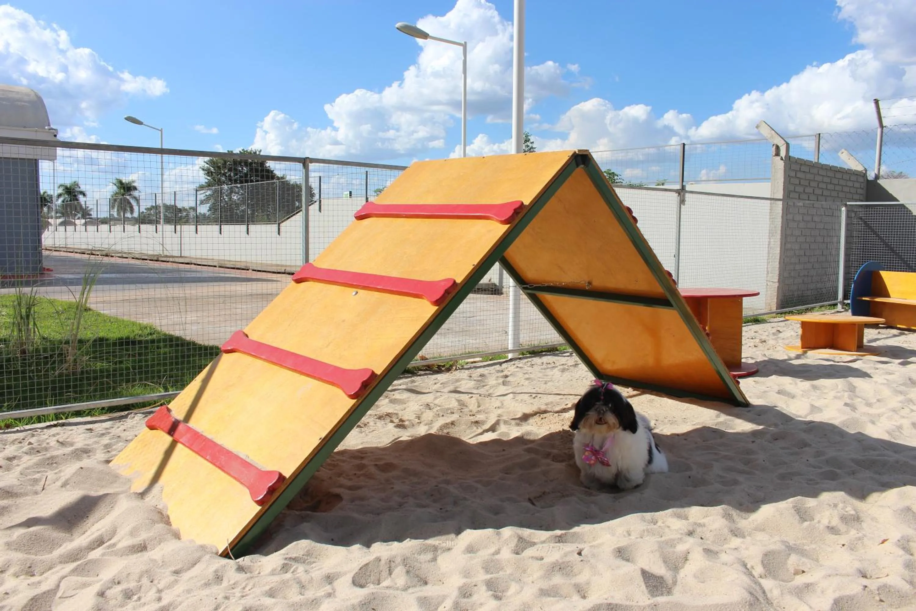 Pets in ibis Styles Rio Preto Monte Libano