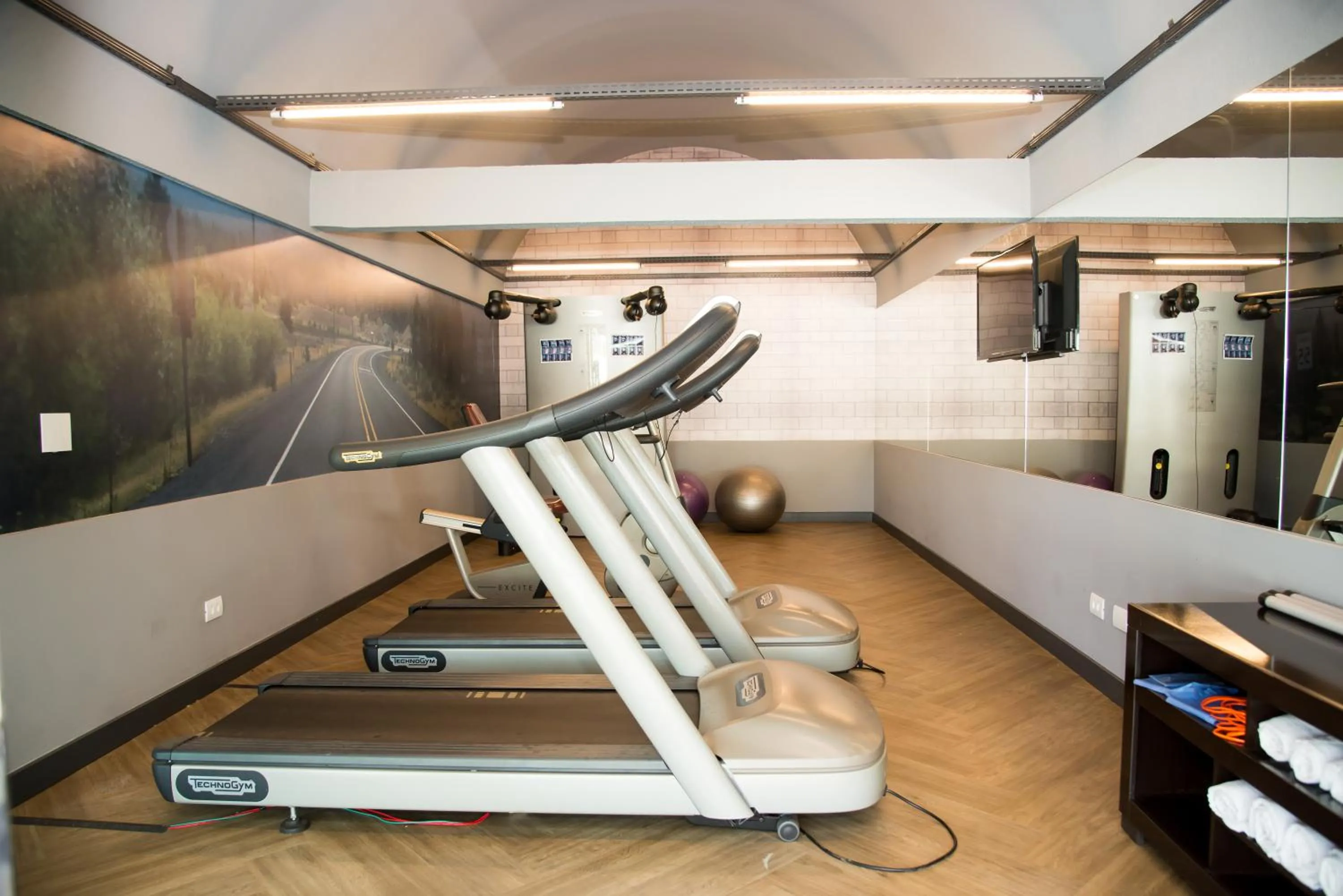 Fitness centre/facilities in ibis Styles Rio Preto Monte Libano