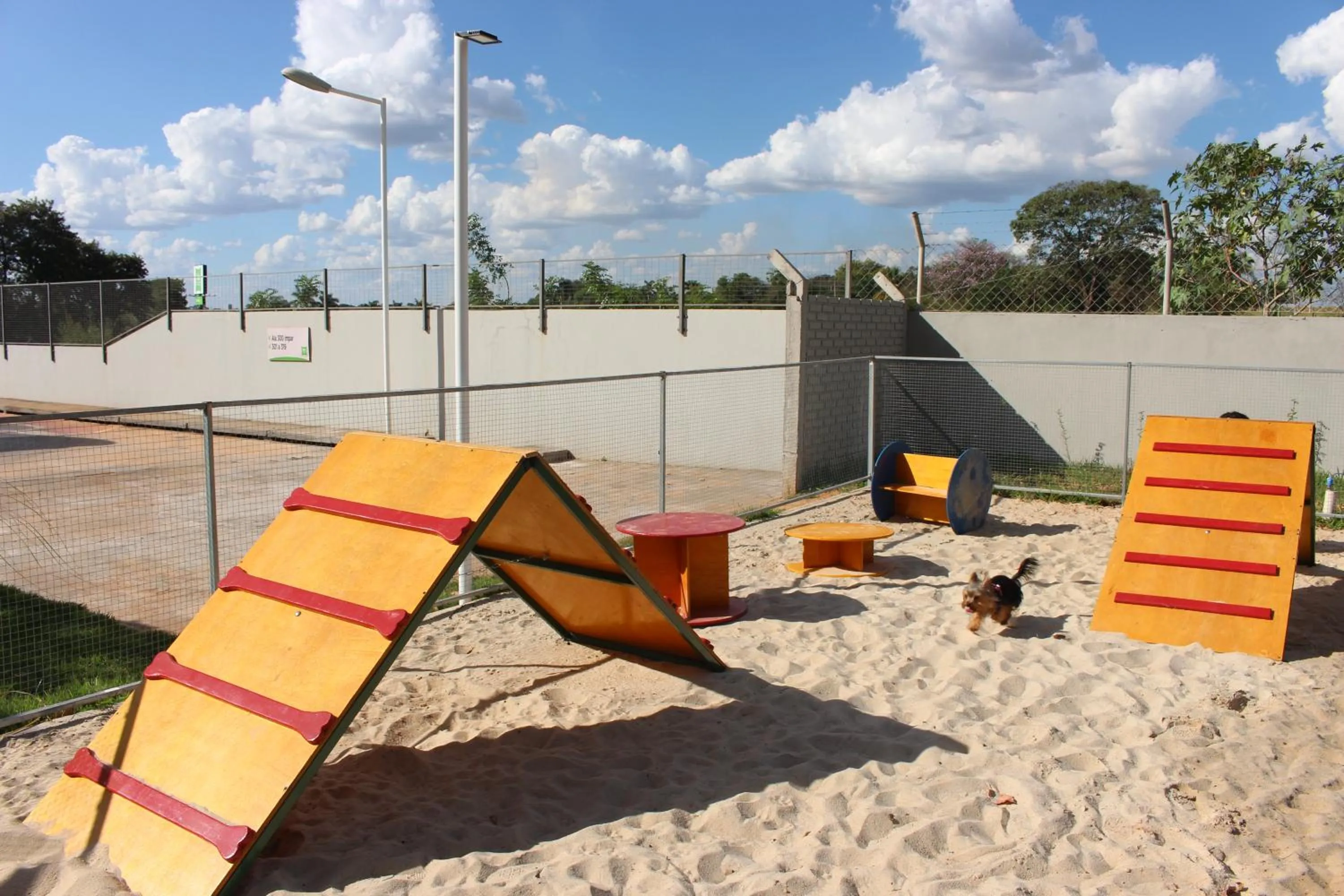 Pets in ibis Styles Rio Preto Monte Libano