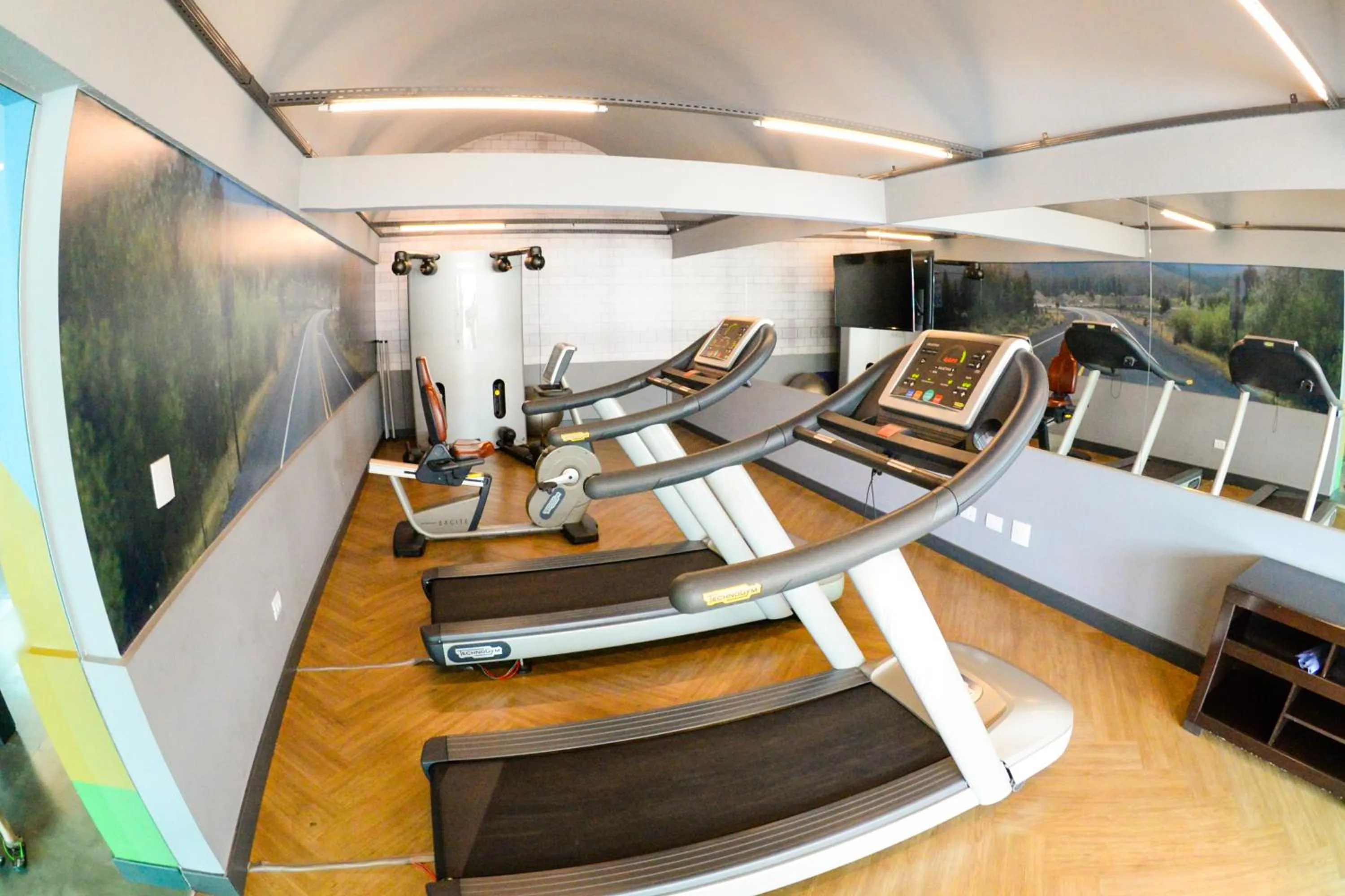 Fitness centre/facilities in ibis Styles Rio Preto Monte Libano