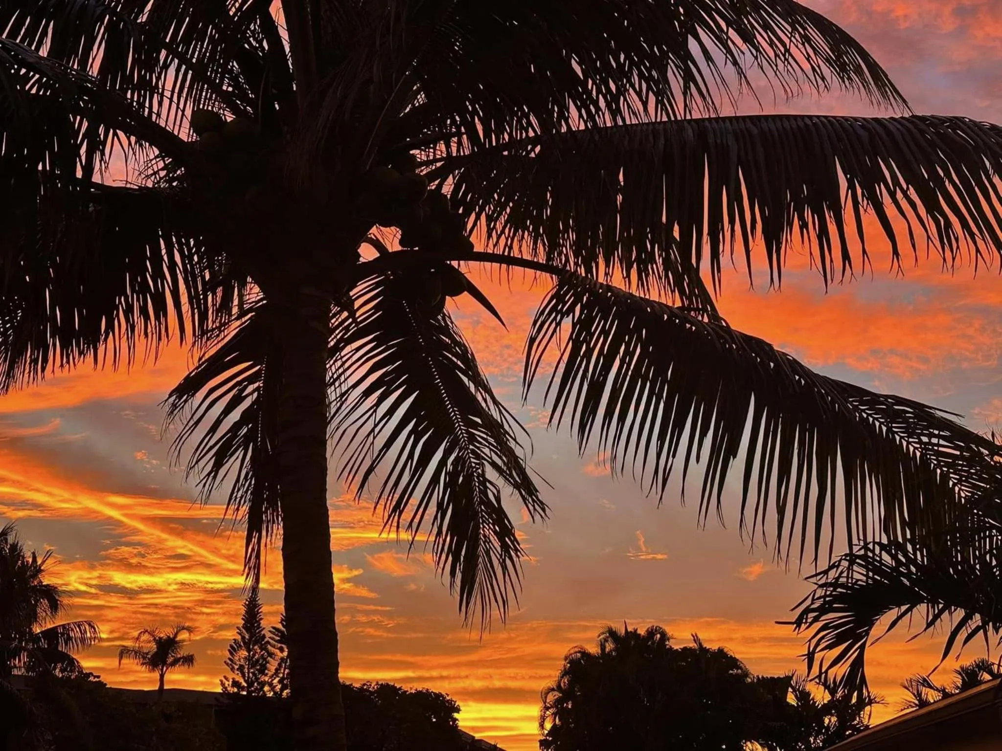 Windjammer Resort and Beach Club