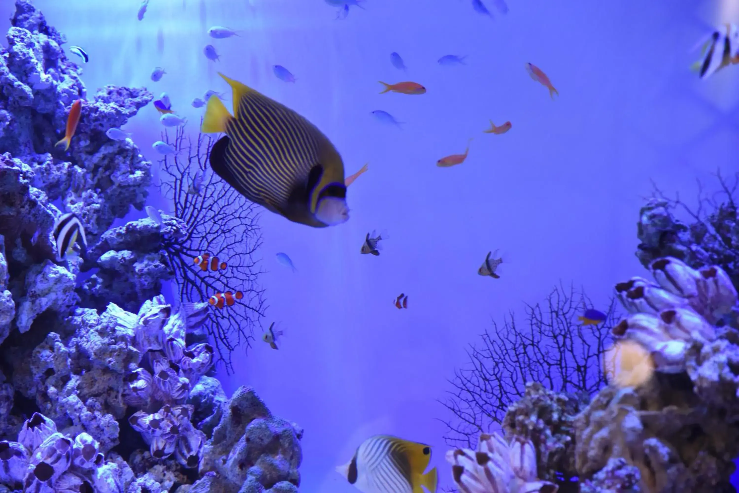 Lounge or bar in Hotel The Gate Kumamoto Lounge or bar in Hotel The Gate Kumamoto