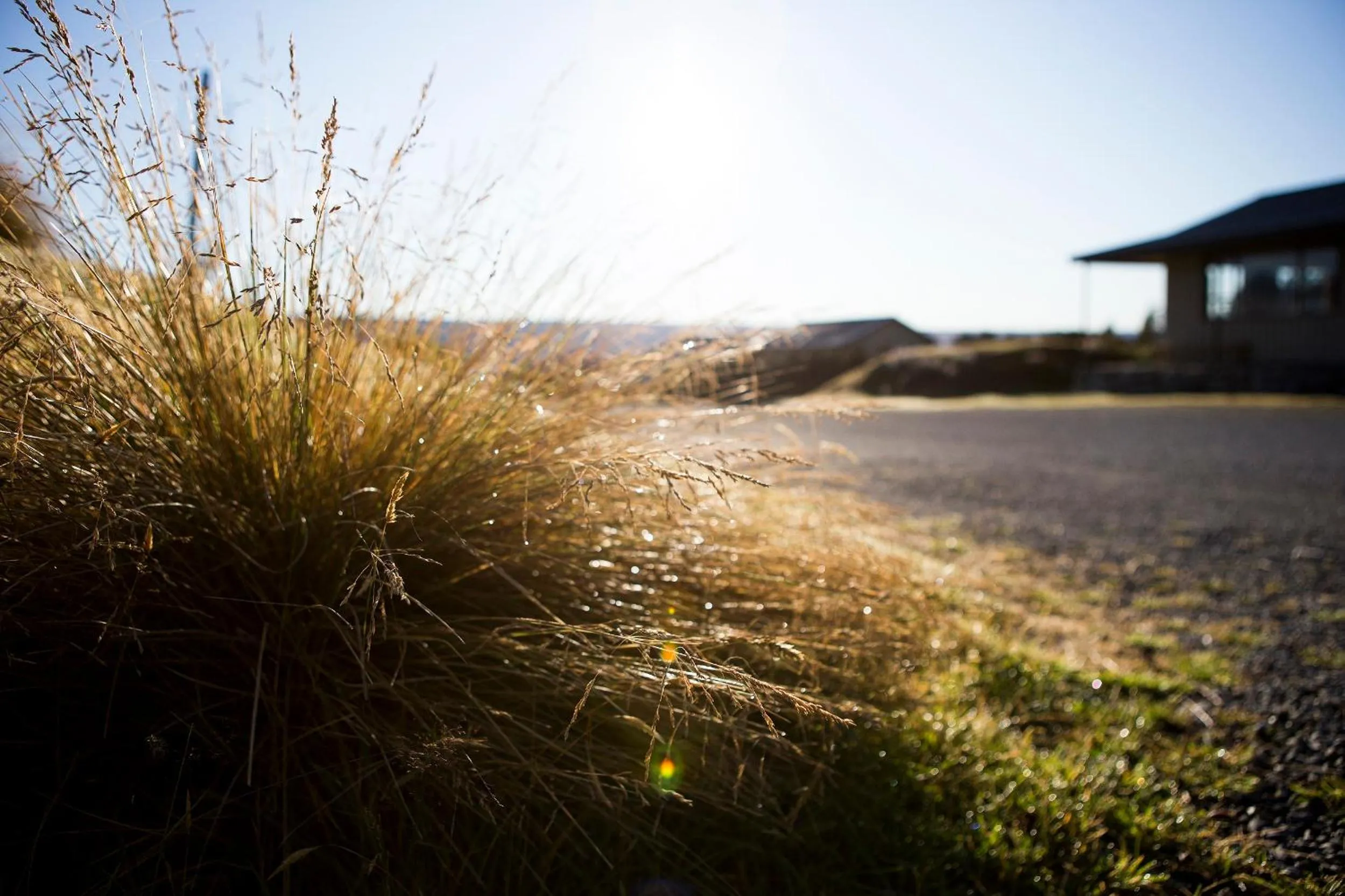 View (from property/room) in Glentanner Park Centre