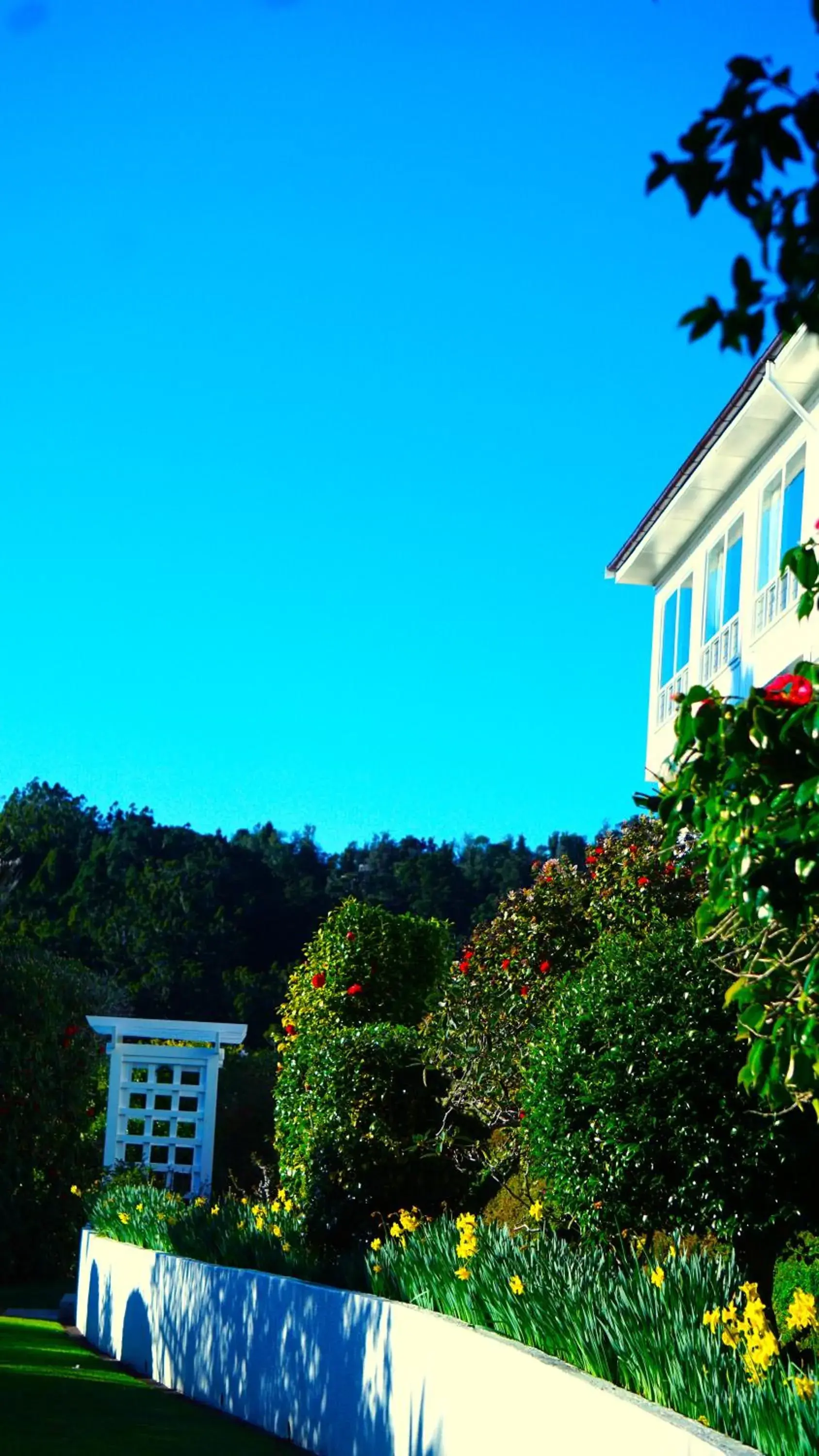 Property building in Waitakere Resort & Spa Property building in Waitakere Resort & Spa