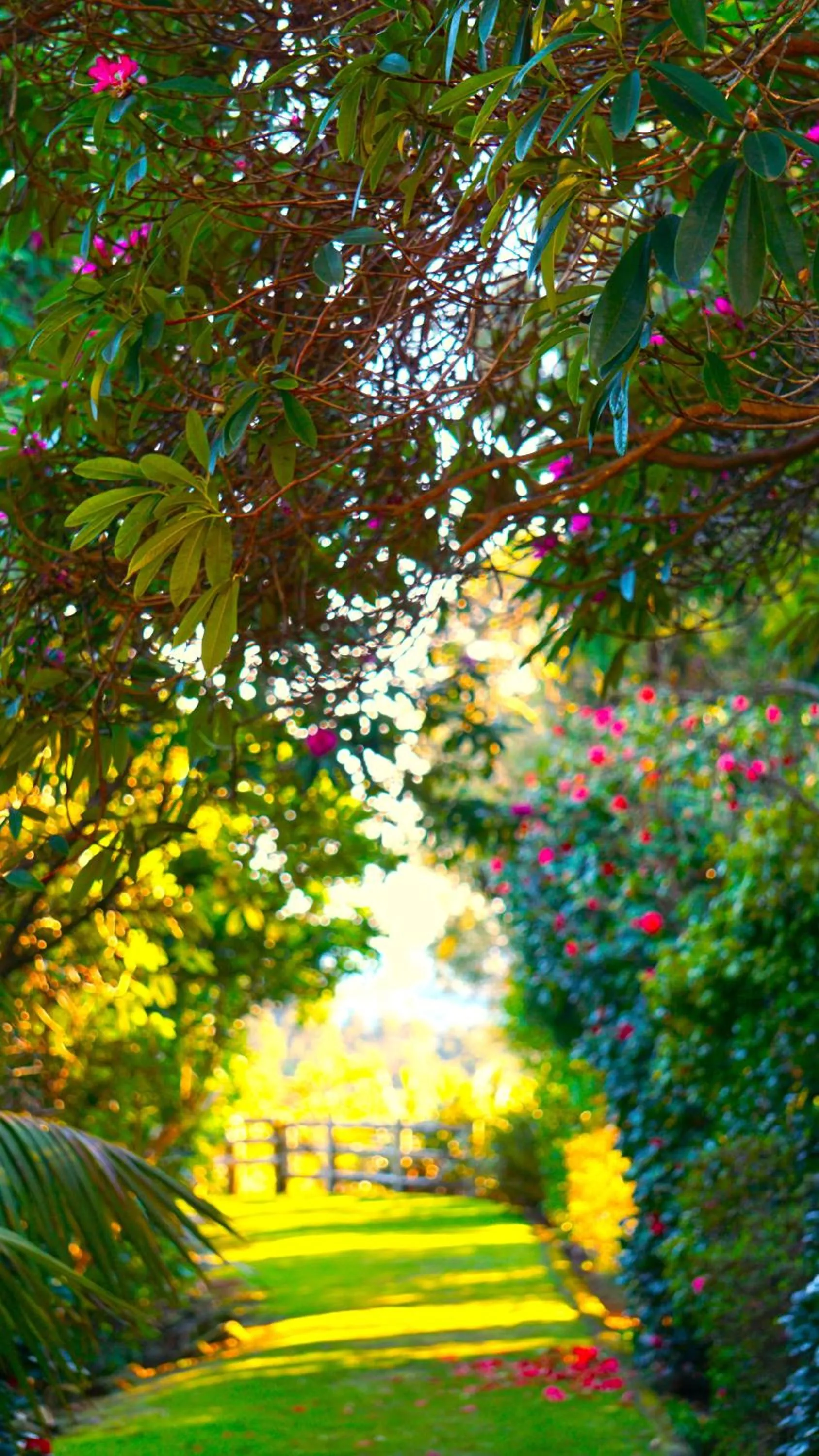 Waitakere Resort & Spa