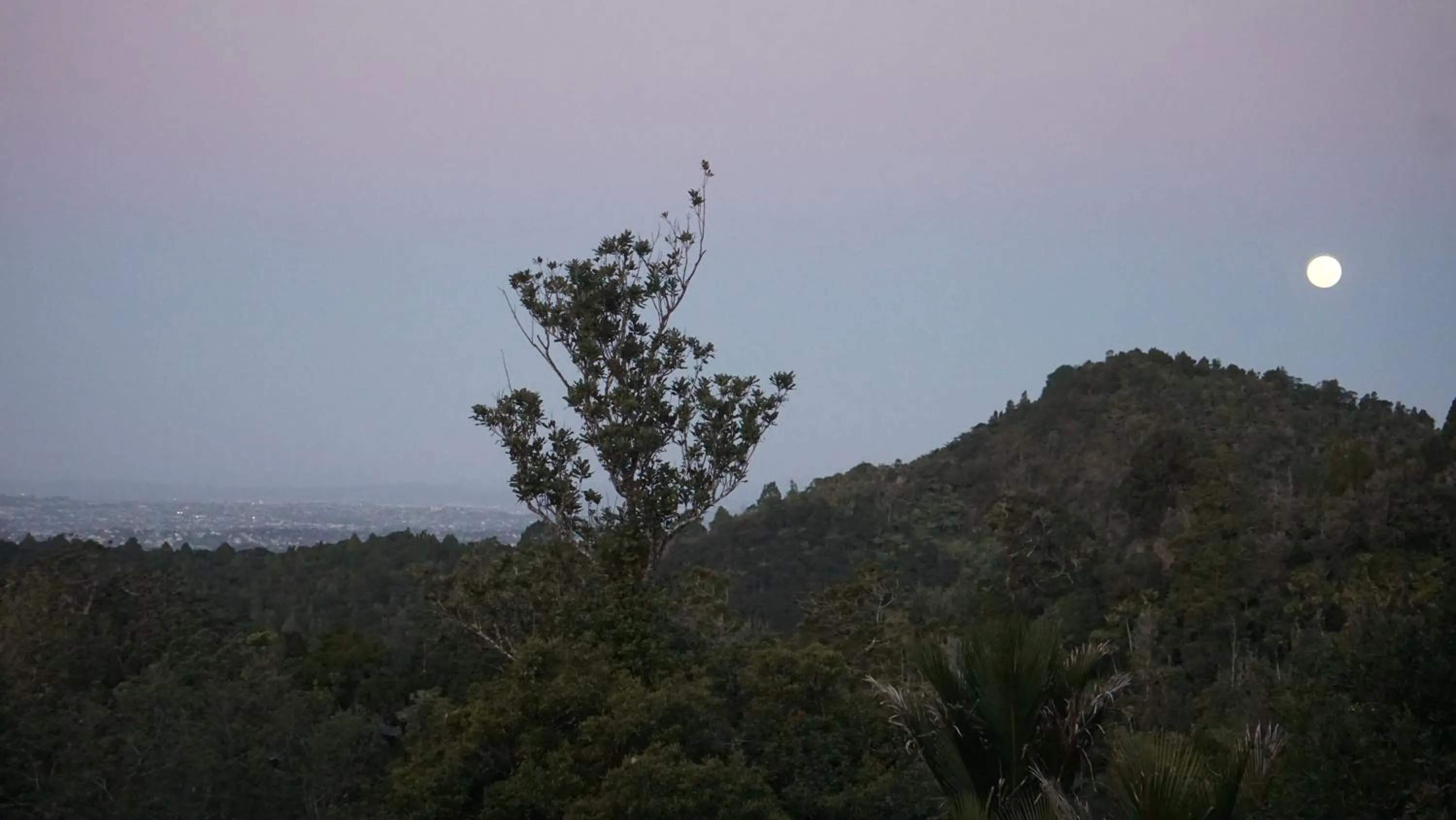 Waitakere Resort & Spa