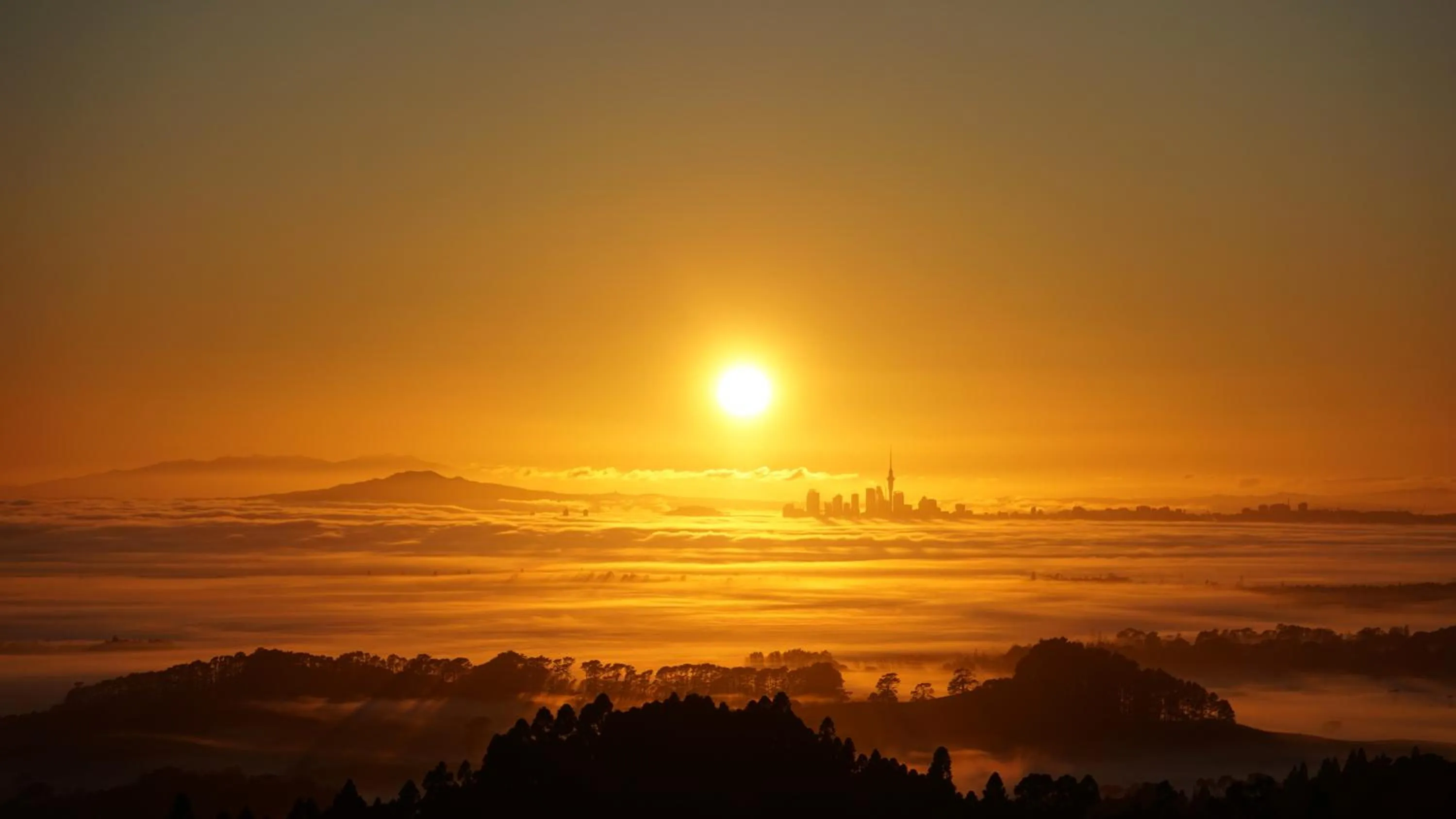 Natural landscape in Waitakere Resort & Spa