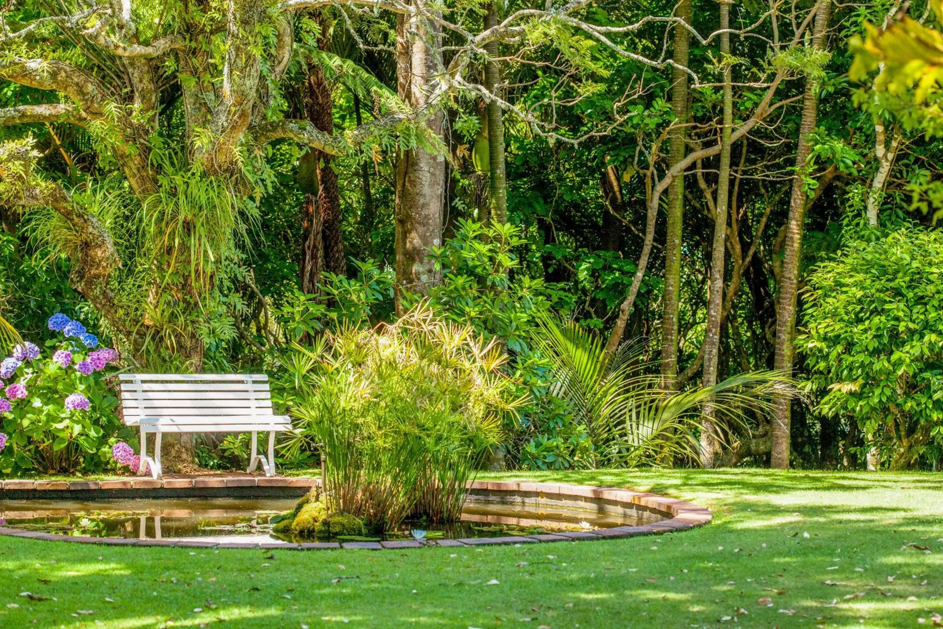 Garden view in Waitakere Resort & Spa Garden view in Waitakere Resort & Spa