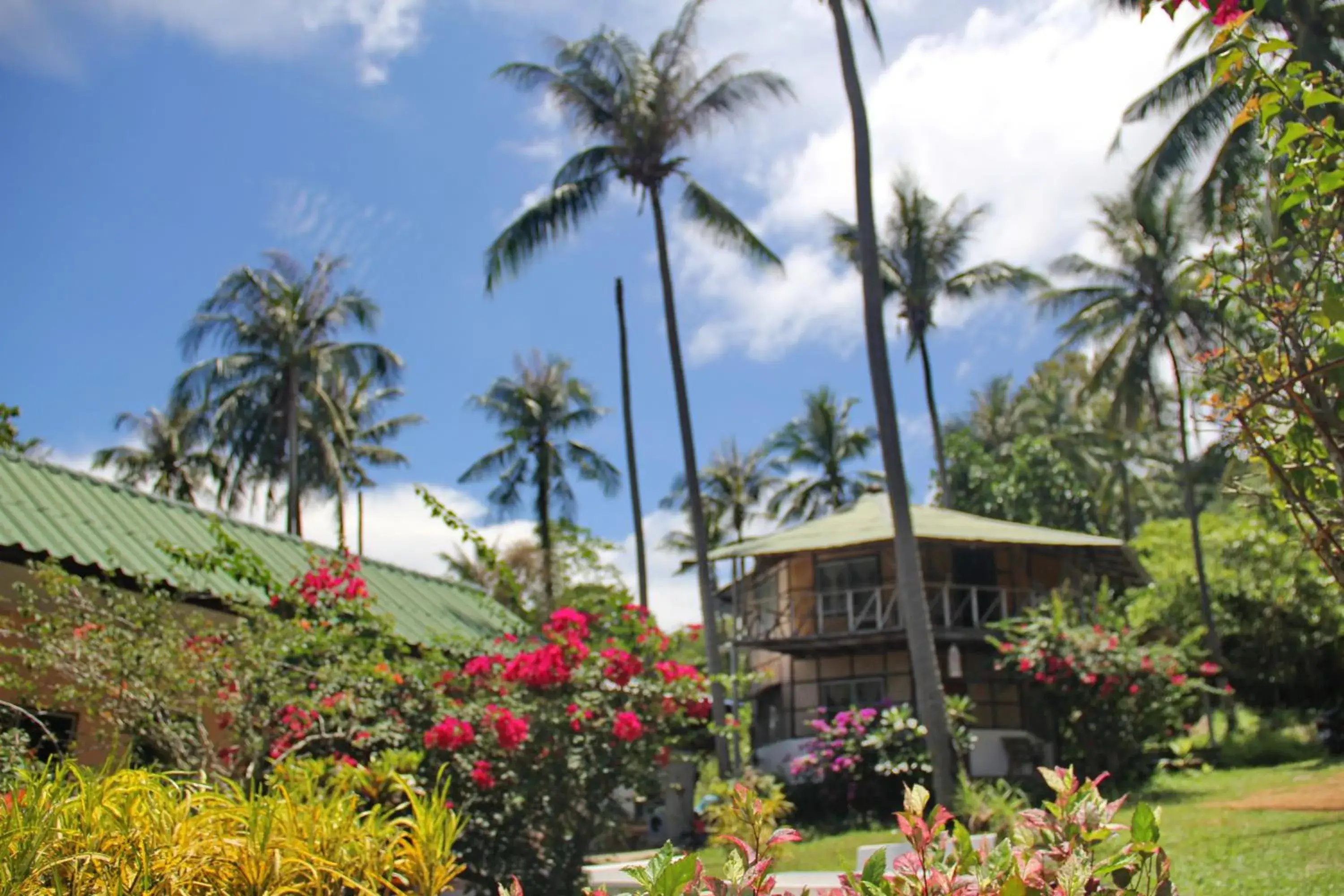 Property building in TP Hut Bungalows Property building in TP Hut Bungalows