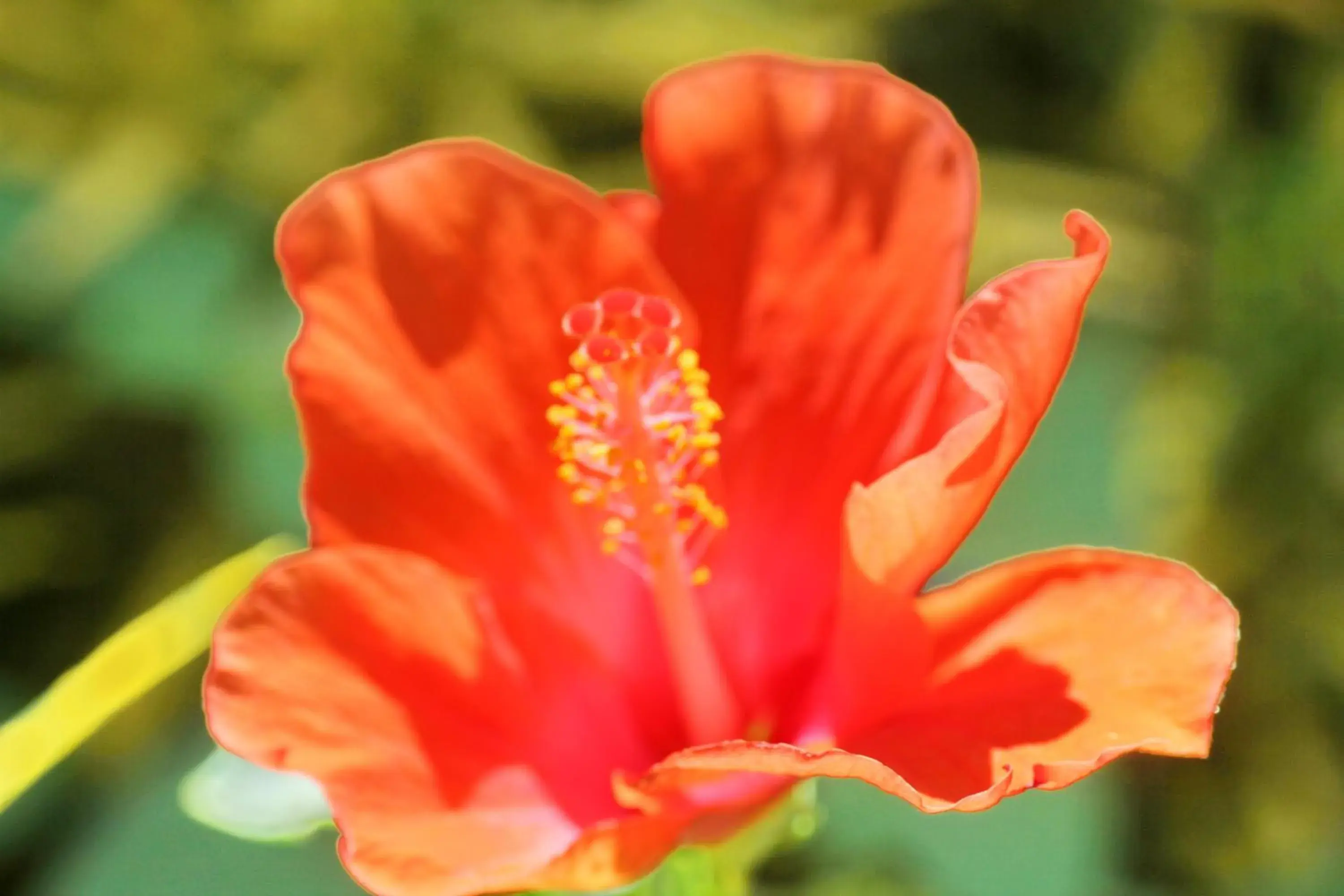 Property building in TP Hut Bungalows Property building in TP Hut Bungalows