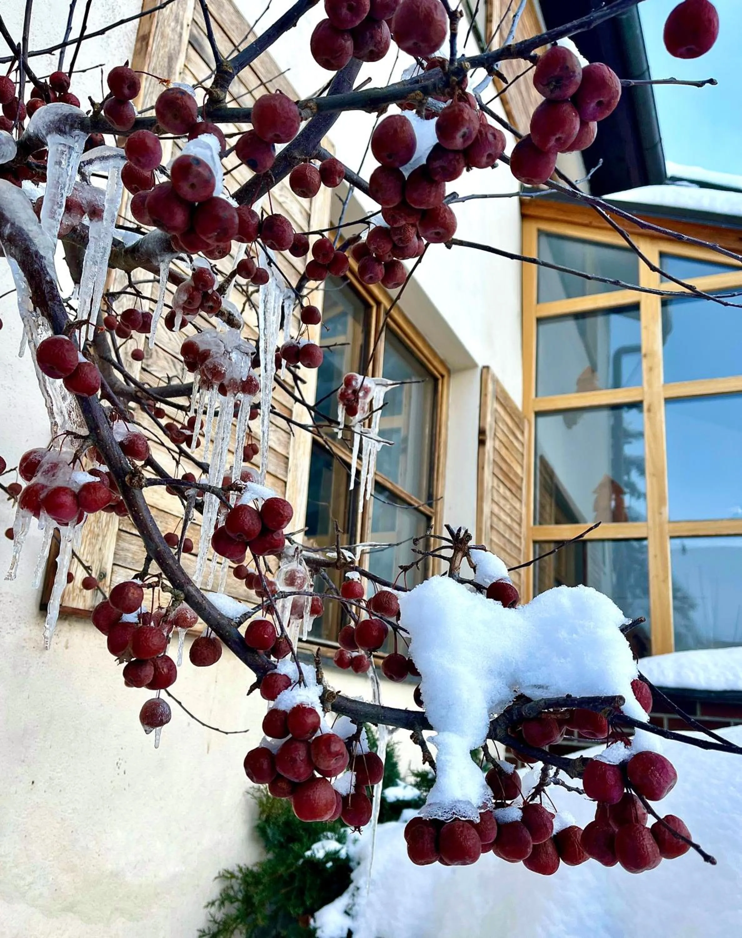 Winter in Hotel STARÝ MLÝN