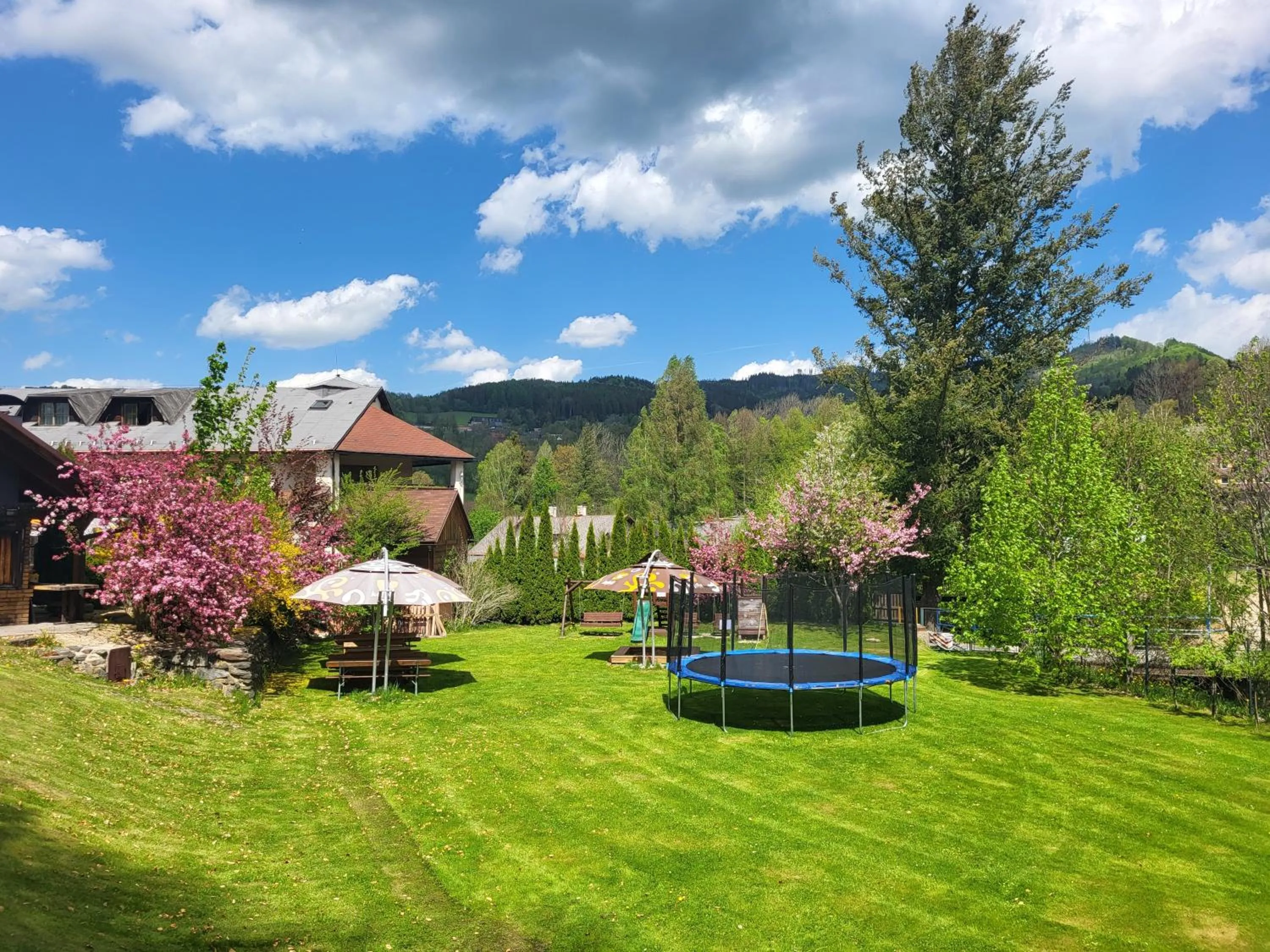 Natural landscape in Hotel STARÝ MLÝN