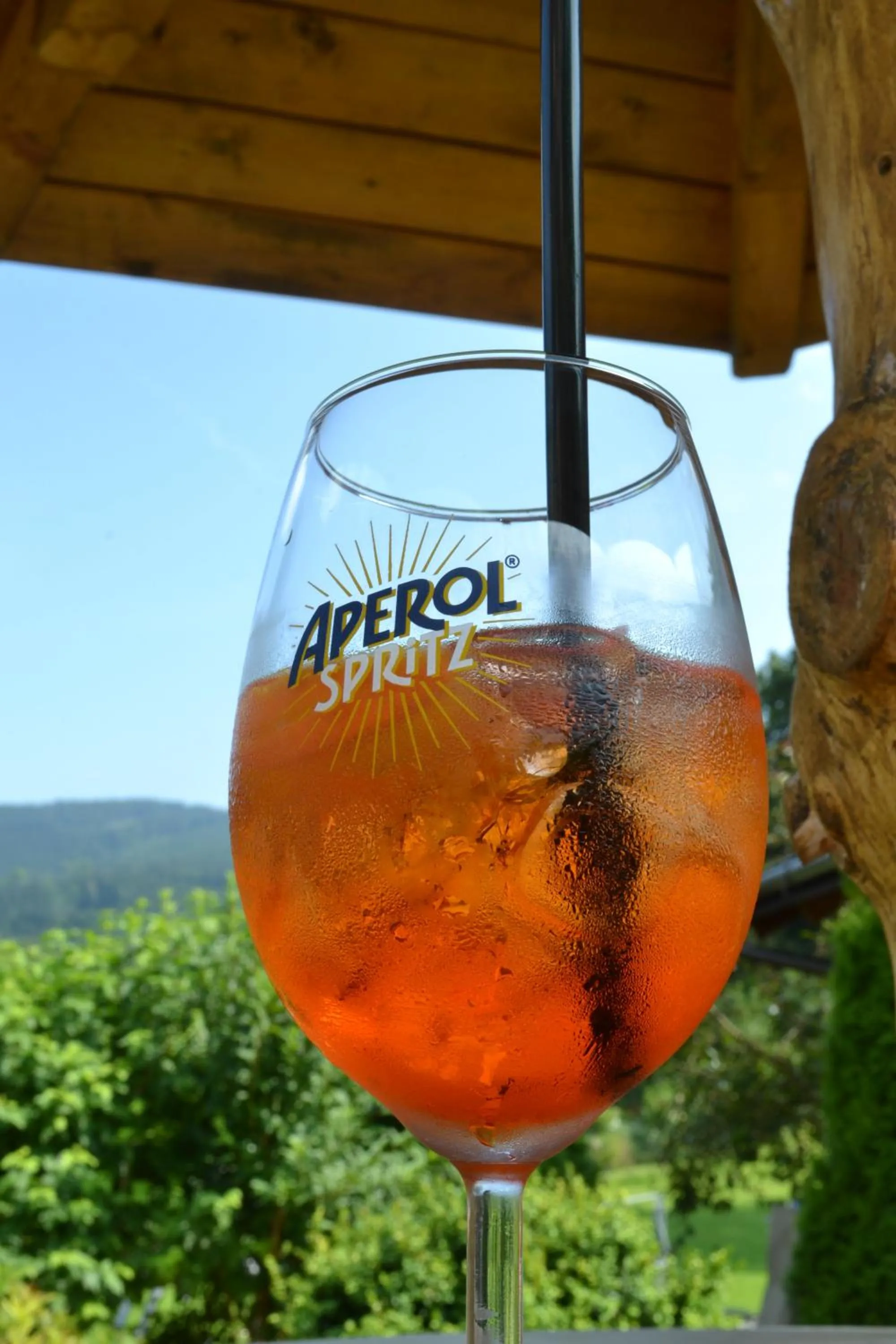 Drinks in Hotel STARÝ MLÝN