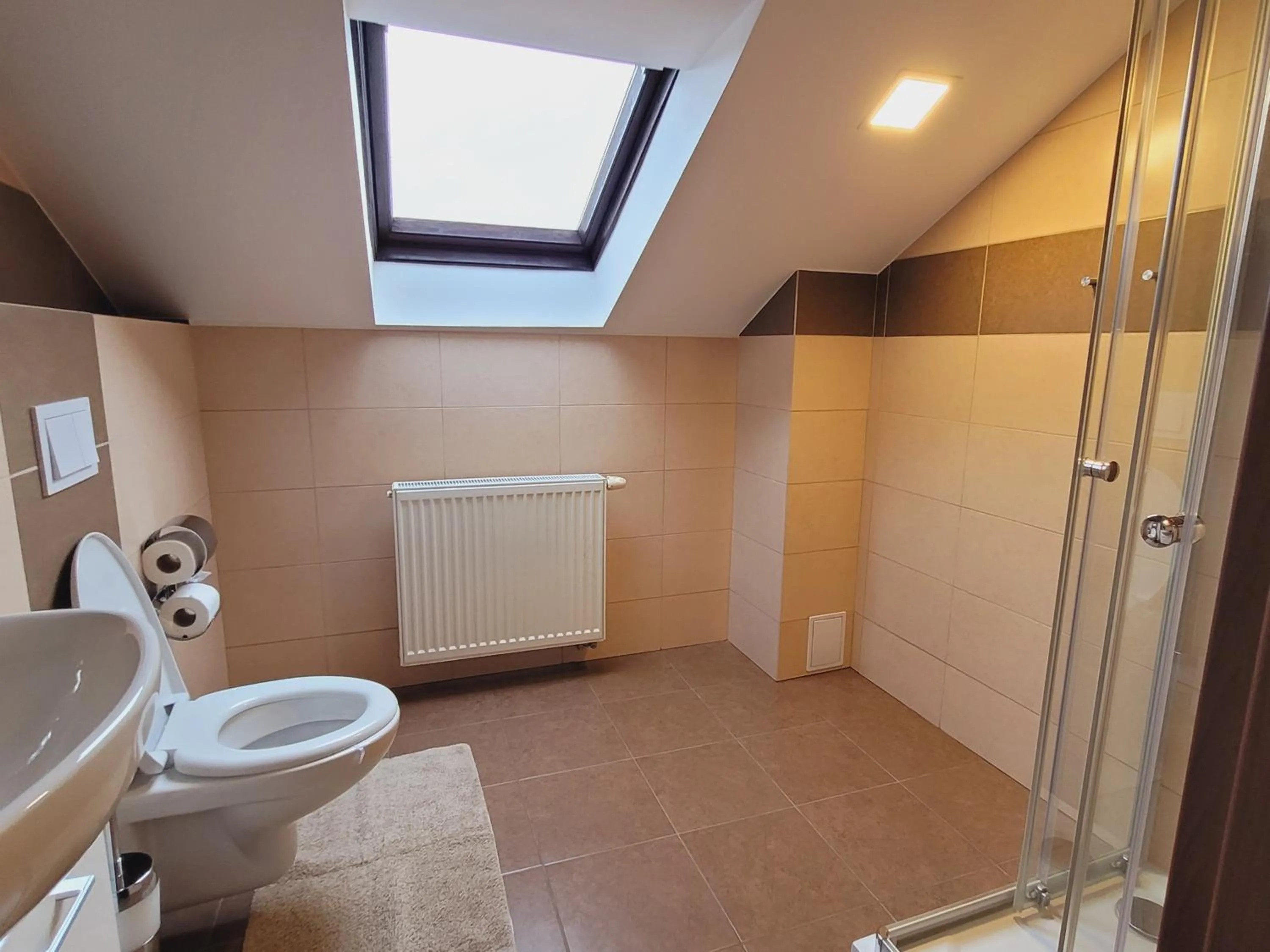 Toilet in Hotel STARÝ MLÝN