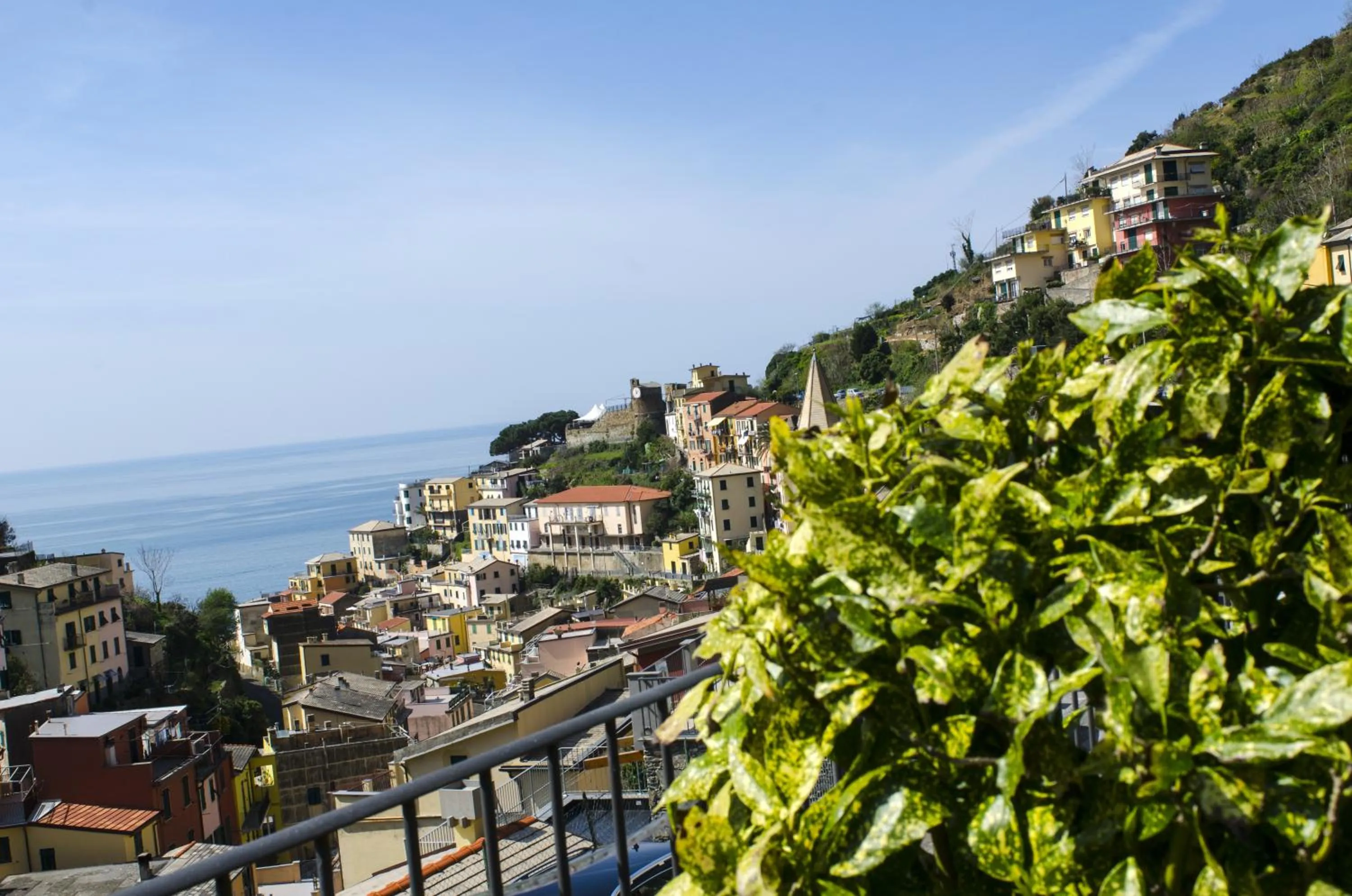 Balcony/Terrace in Hotel Villa Argentina