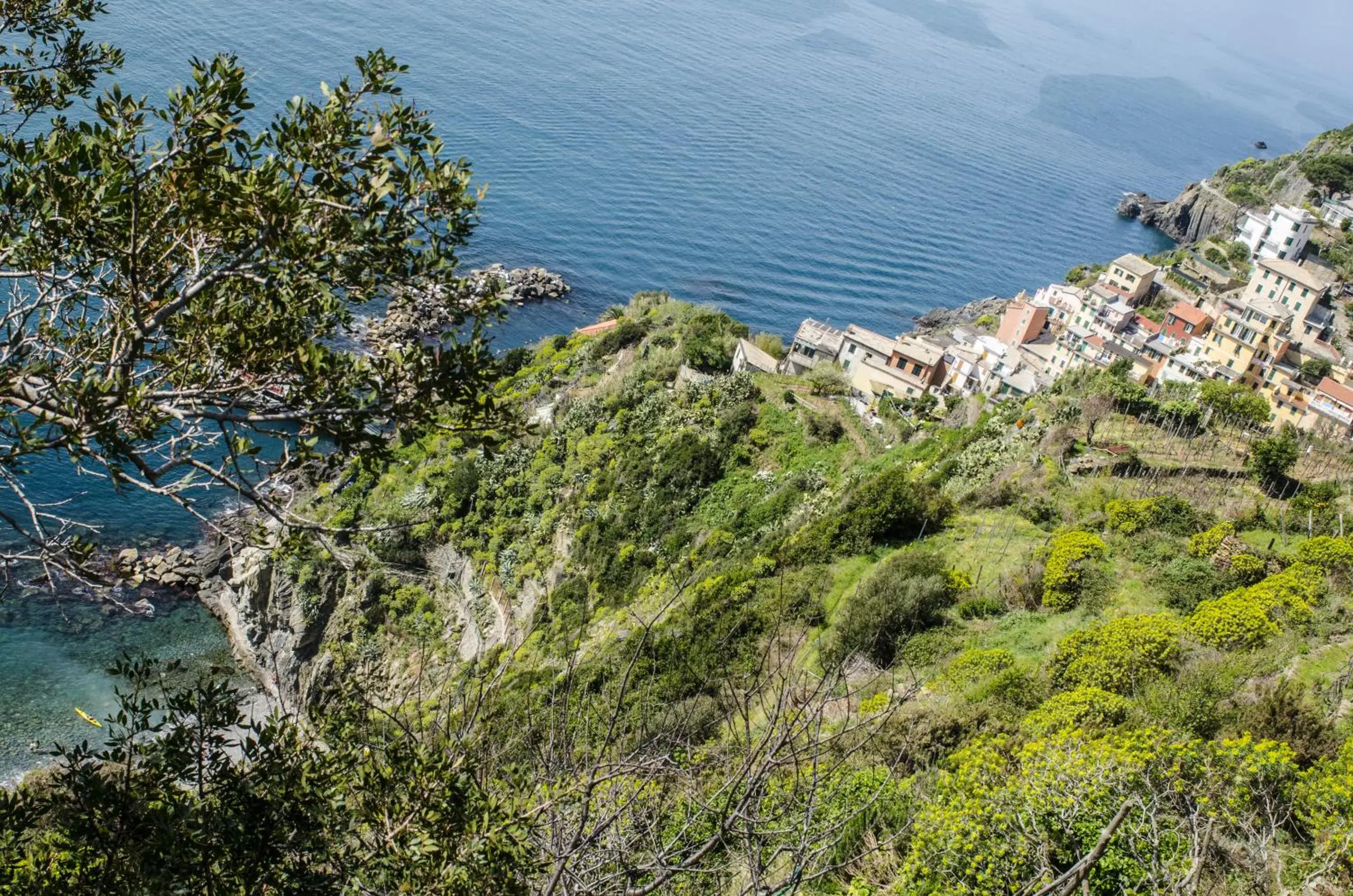 Bird's eye view in Hotel Villa Argentina Bird's eye view in Hotel Villa Argentina