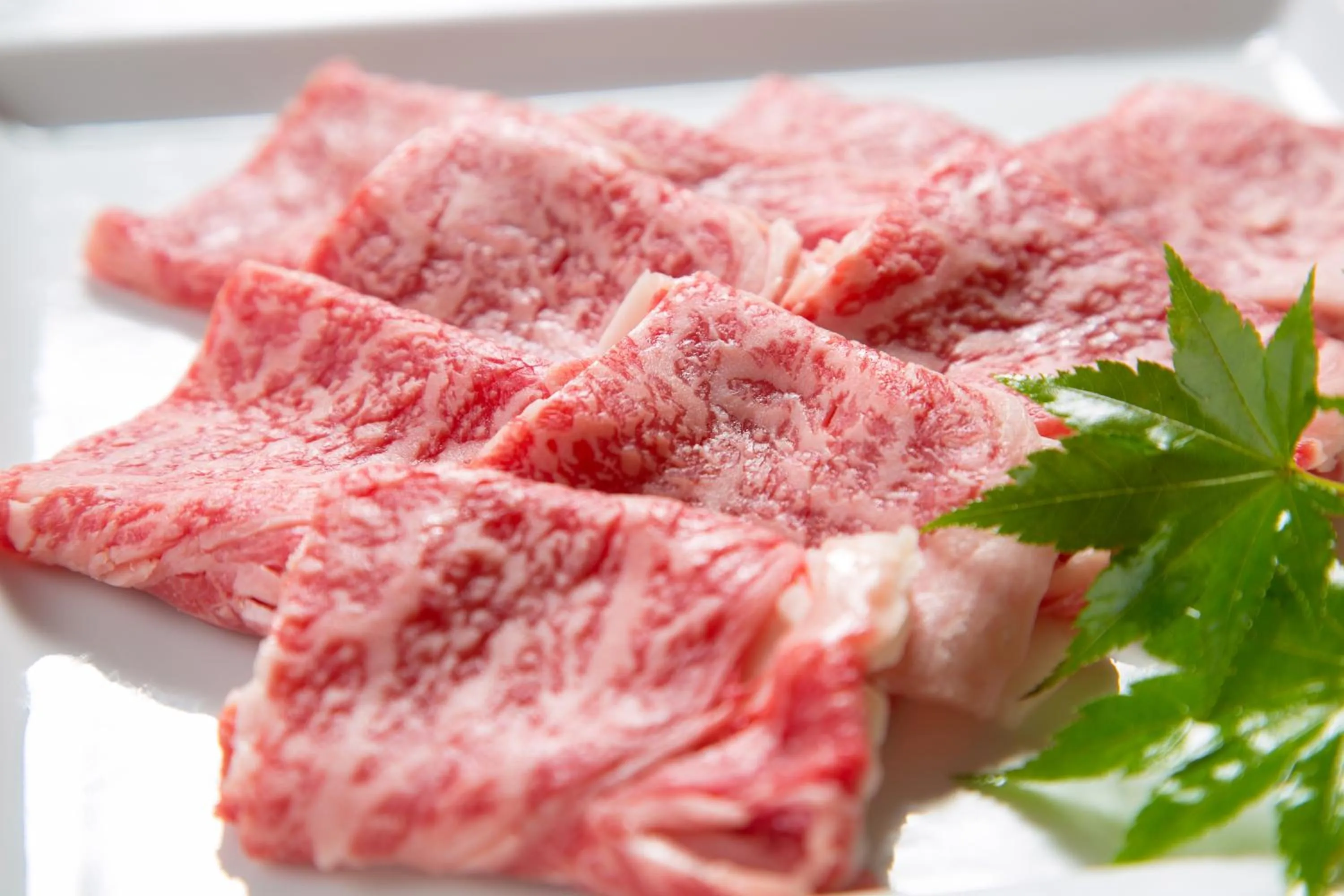 Food close-up in Ikkoten