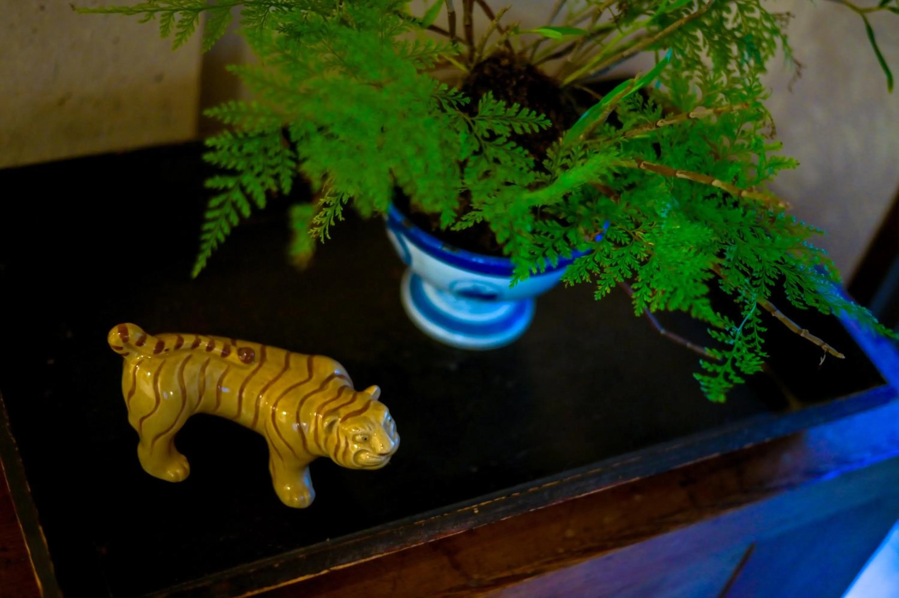 Photo of the whole room in Ikkoten