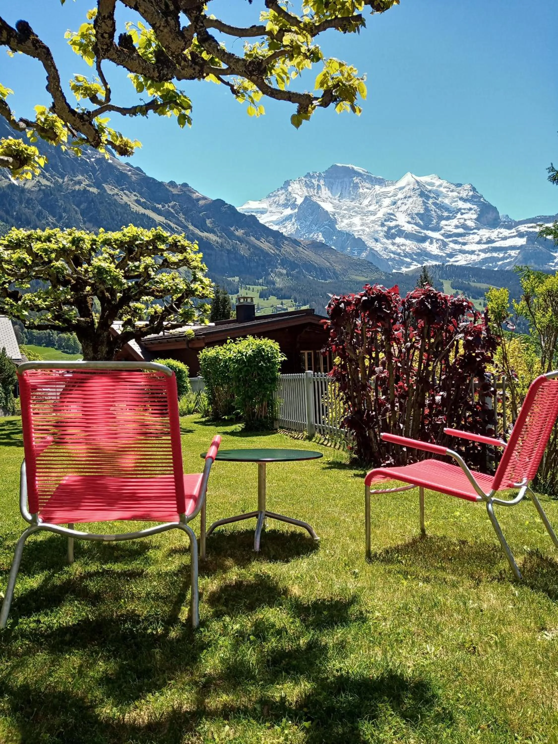 Spring in Hotel Alpenruhe - Vintage Design Hotel