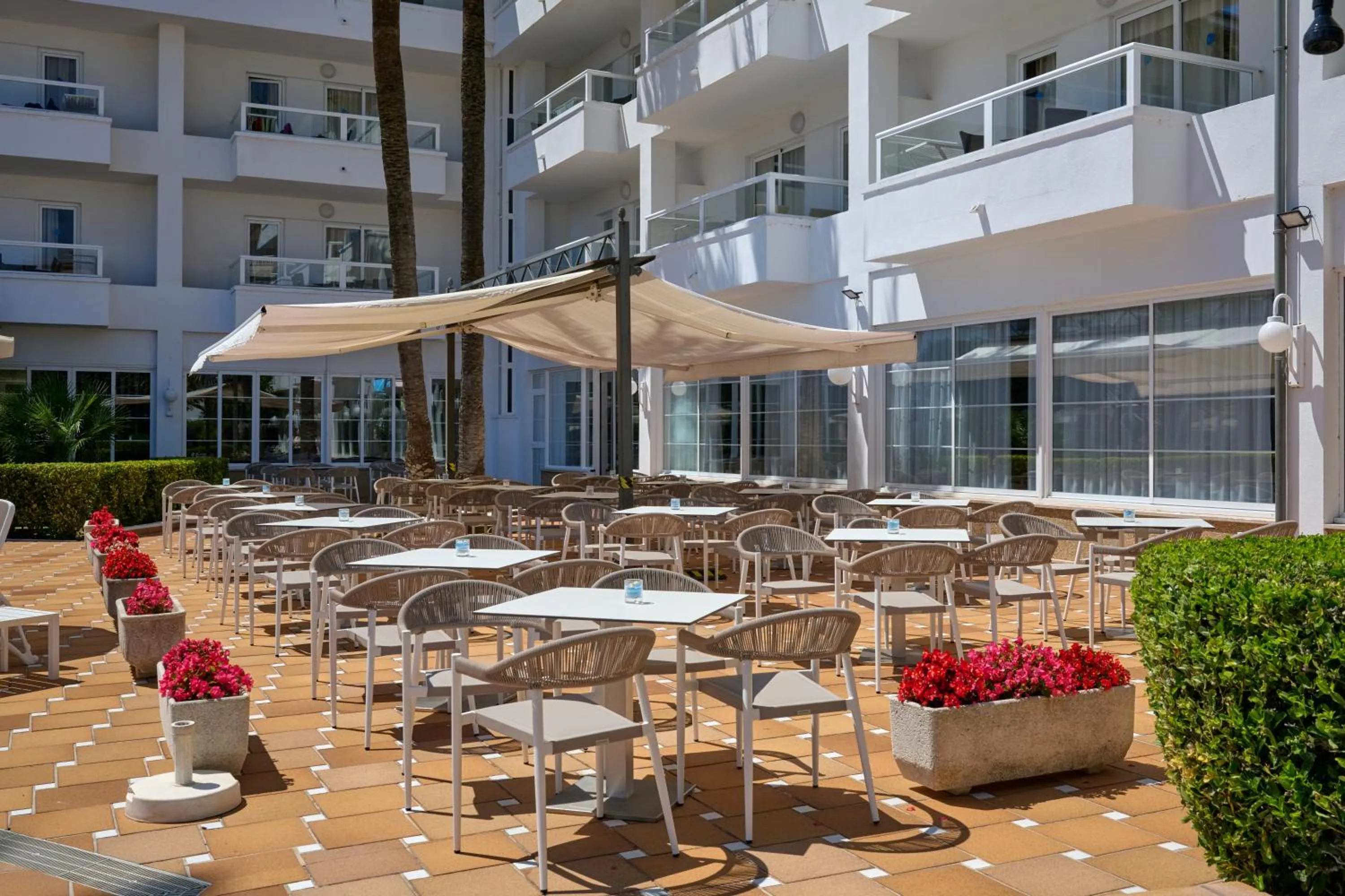 Restaurant/places to eat in Grupotel Alcudia Suite