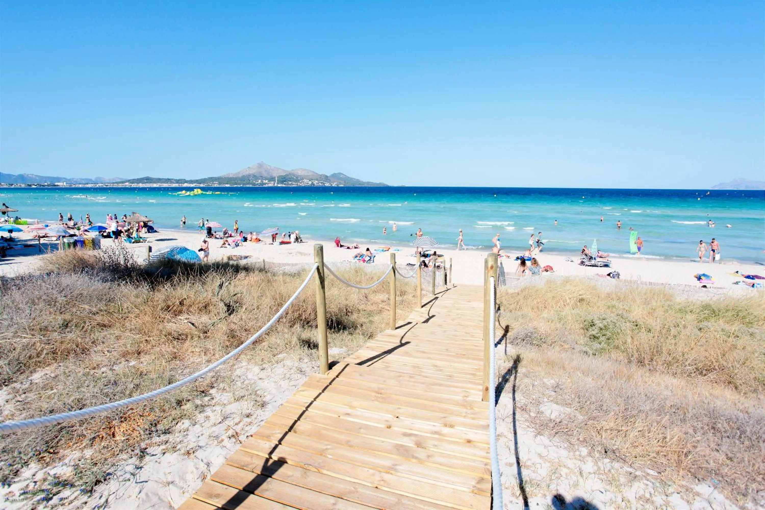 Beach in Grupotel Alcudia Suite