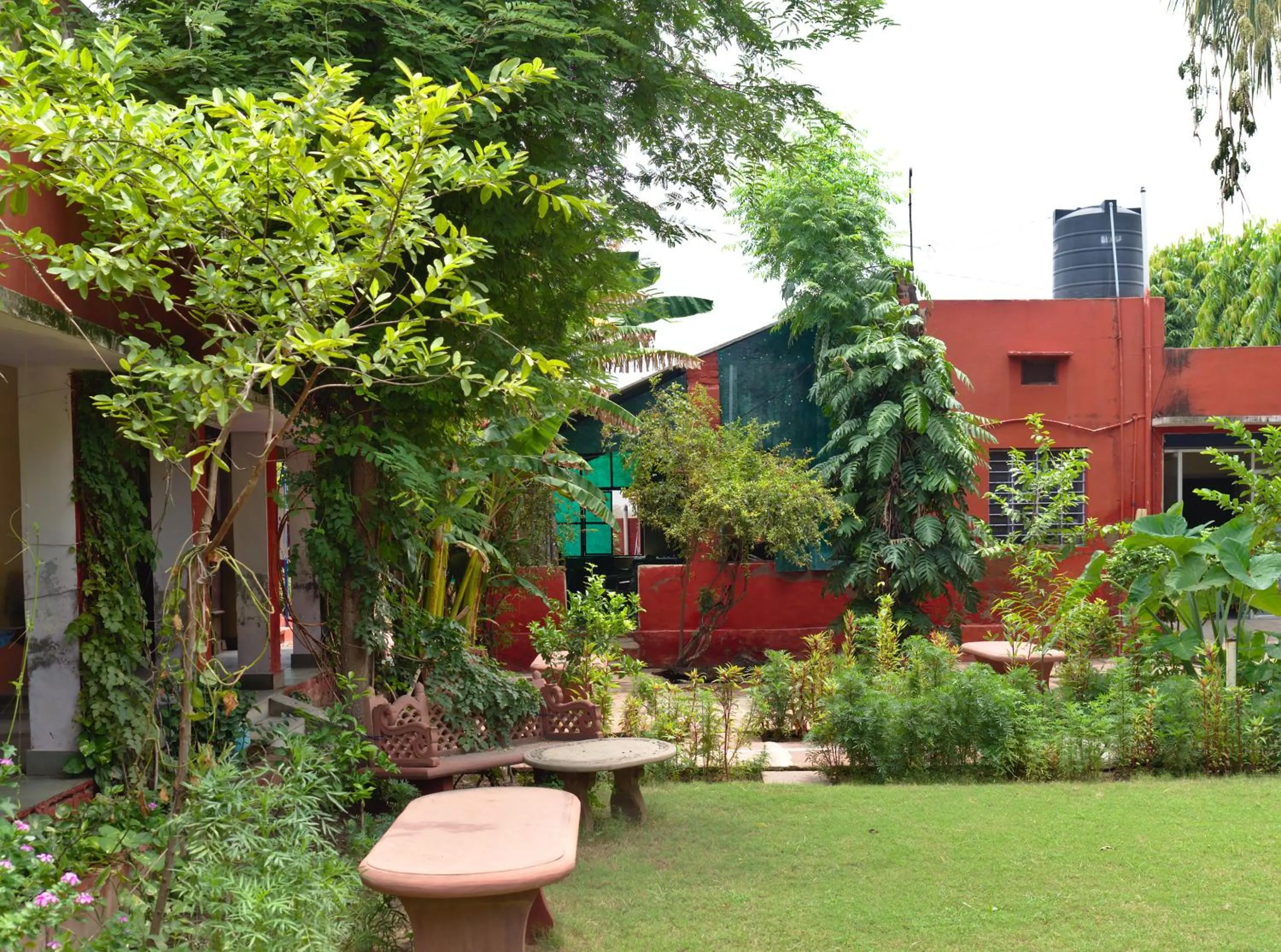 Budget Double Room in Jungle Lodge
