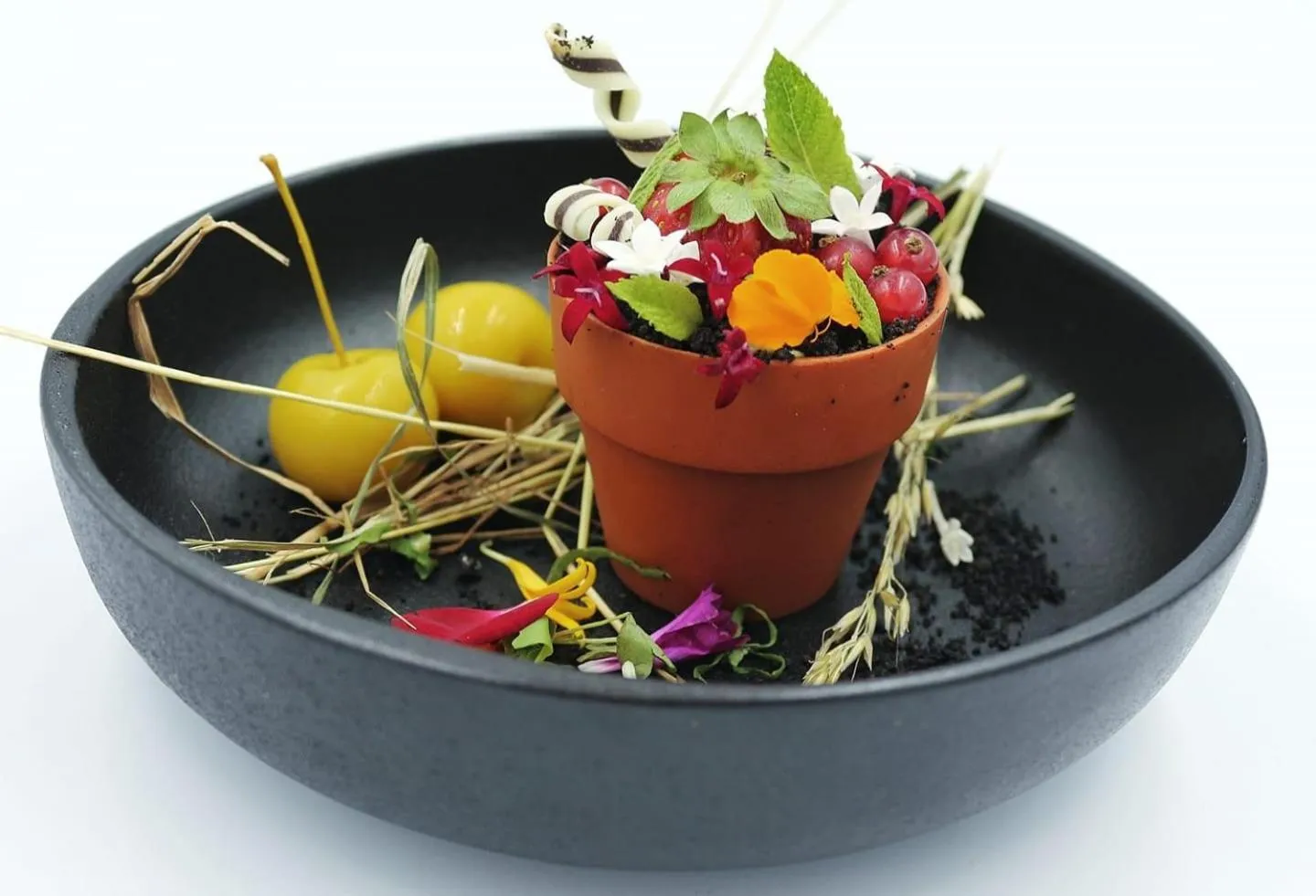 Restaurant/places to eat in LOGIS Hôtel Restaurant Le Clos Fleuri