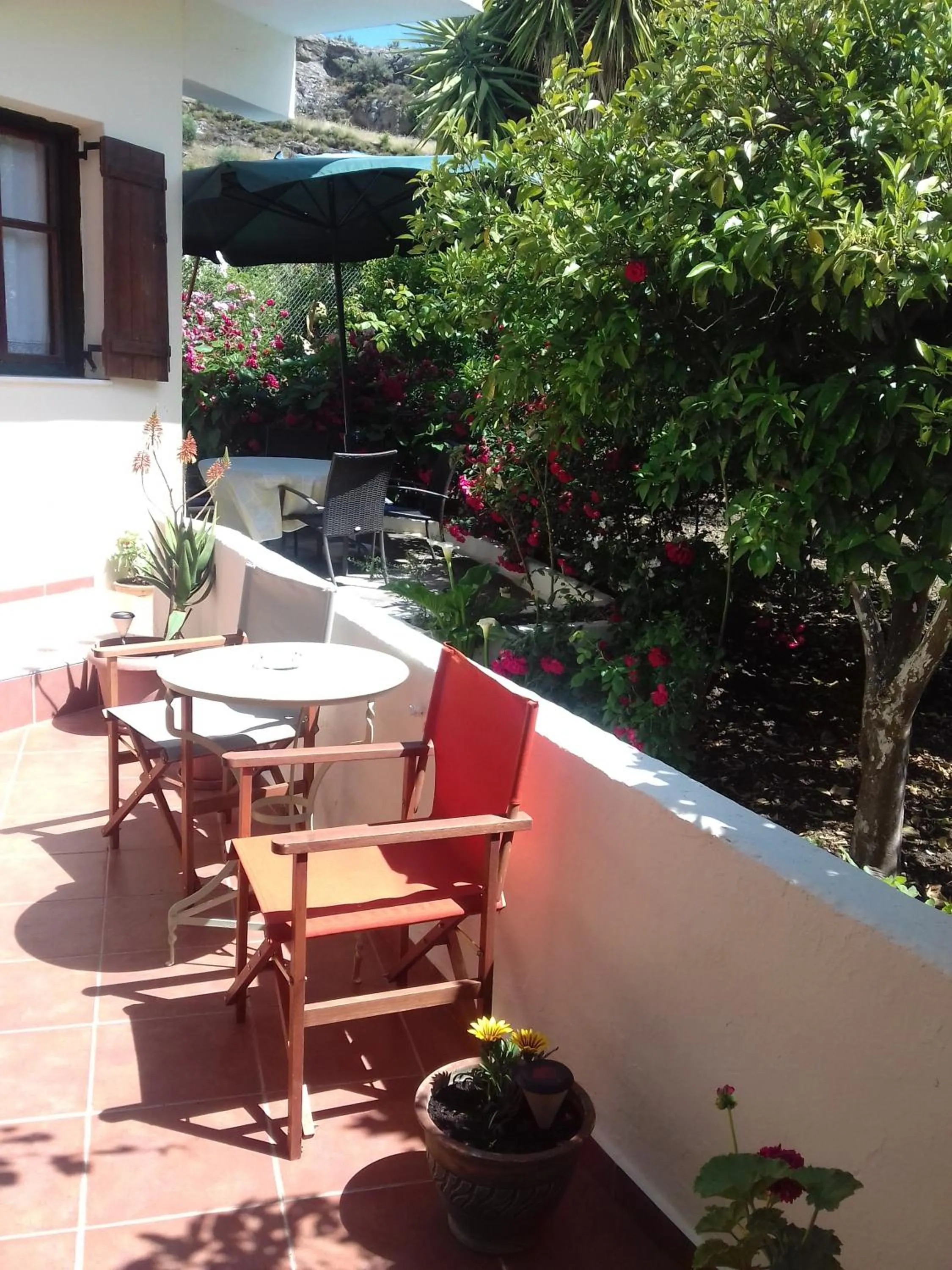 Balcony/Terrace in Hariklia Rent Rooms