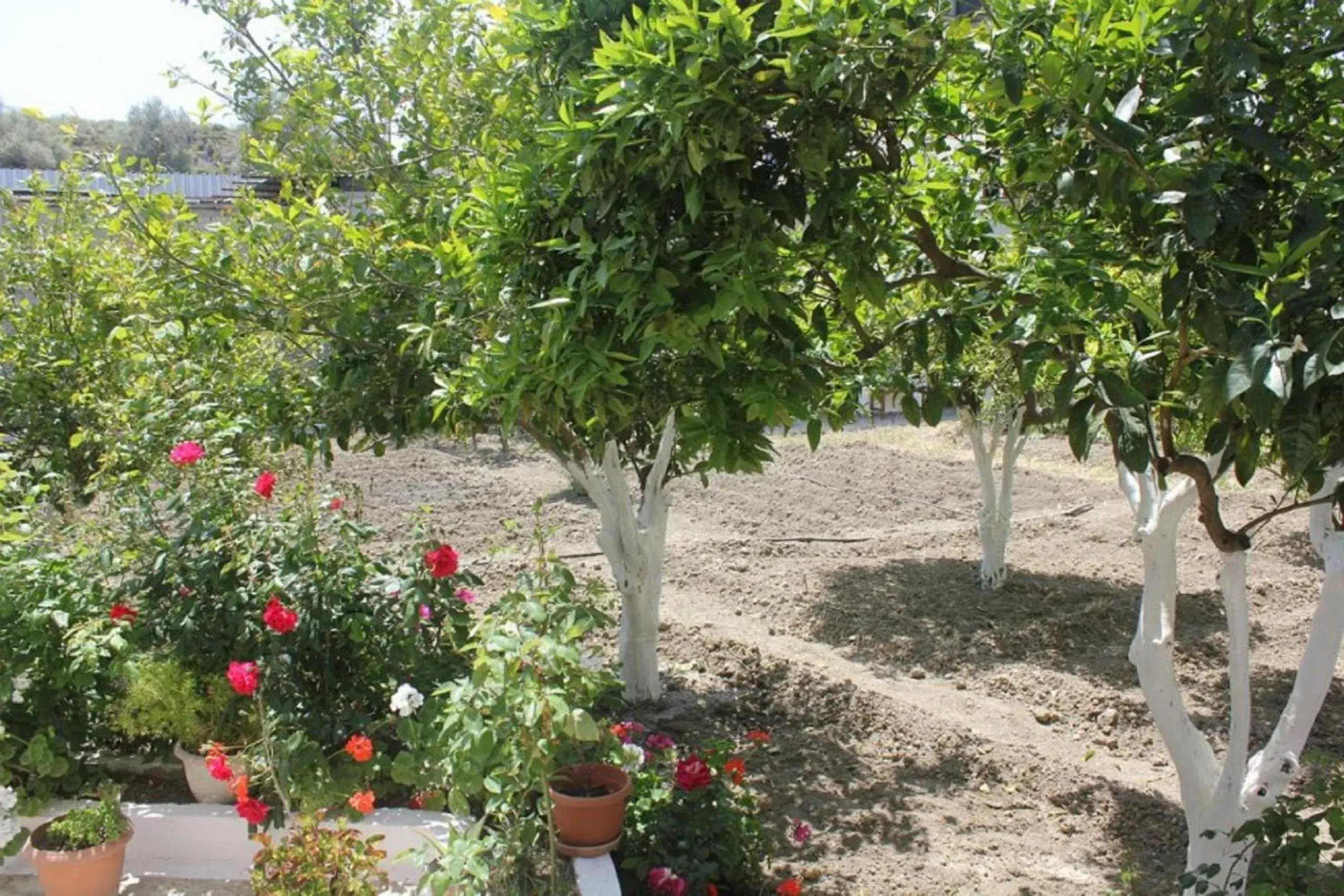 Economy Twin Room in Hariklia Rent Rooms Economy Twin Room in Hariklia Rent Rooms