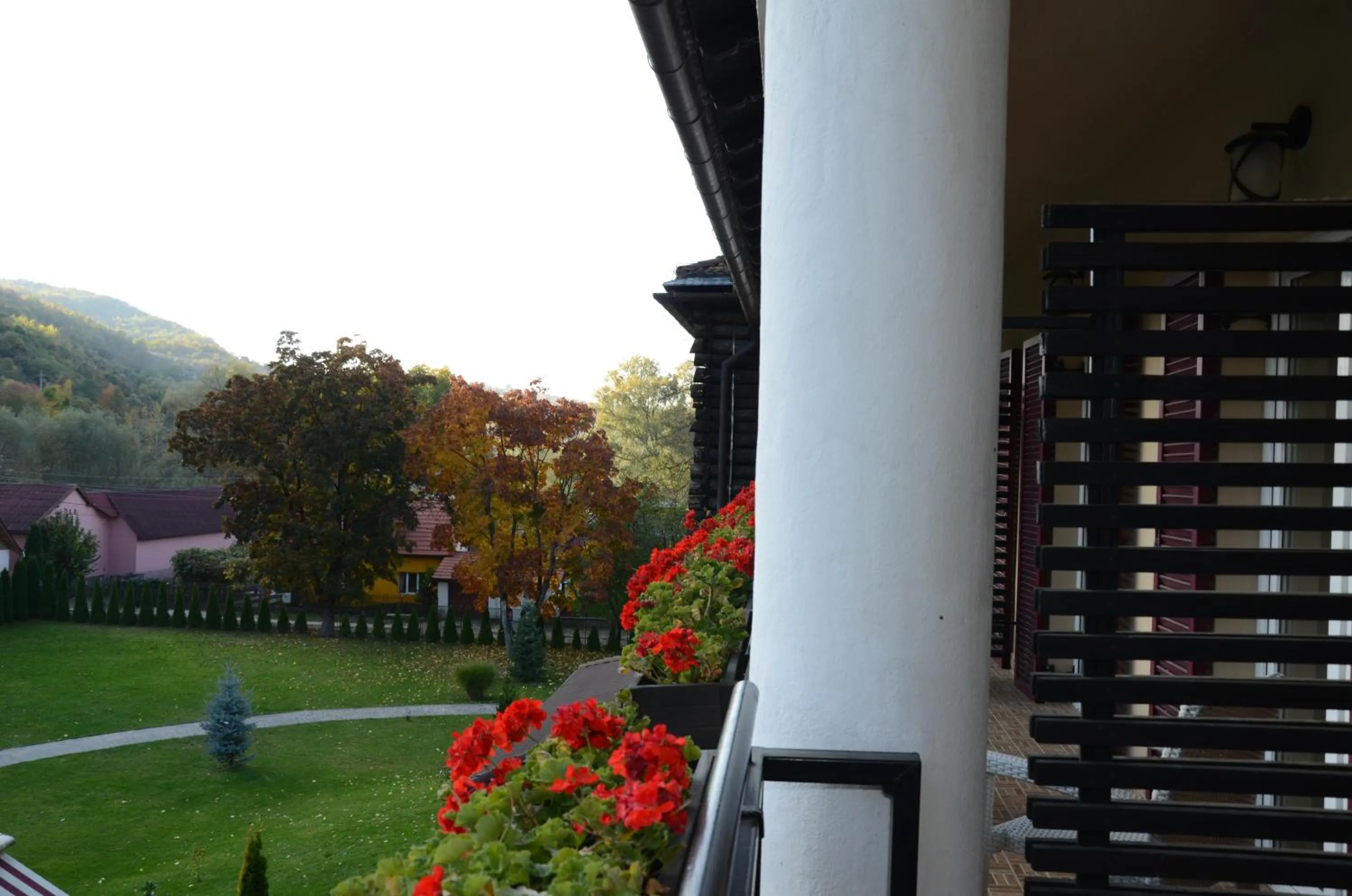 Balcony/Terrace in Hotel Gradina Morii
