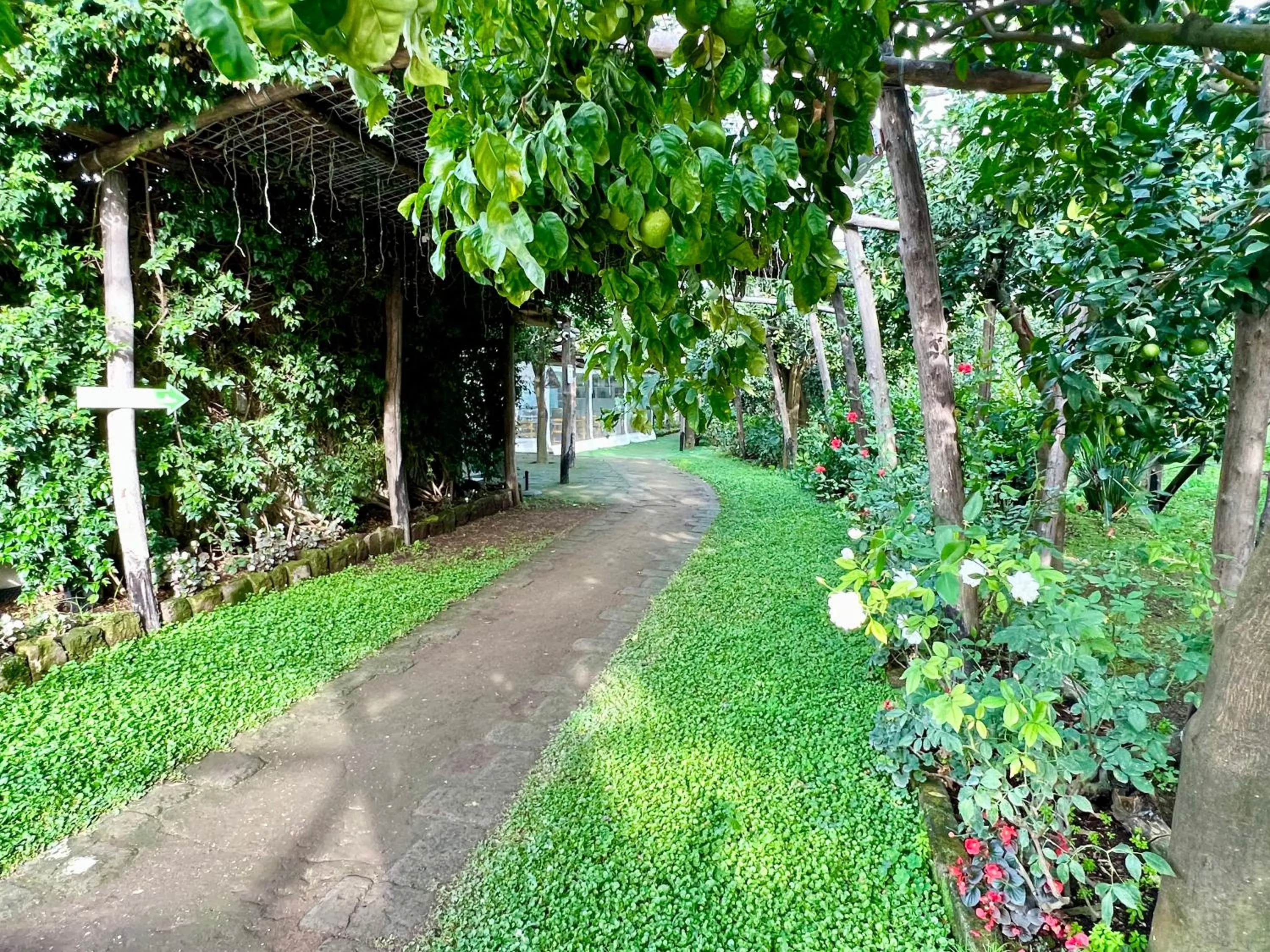 Garden in Relais Correale Rooms & Garden