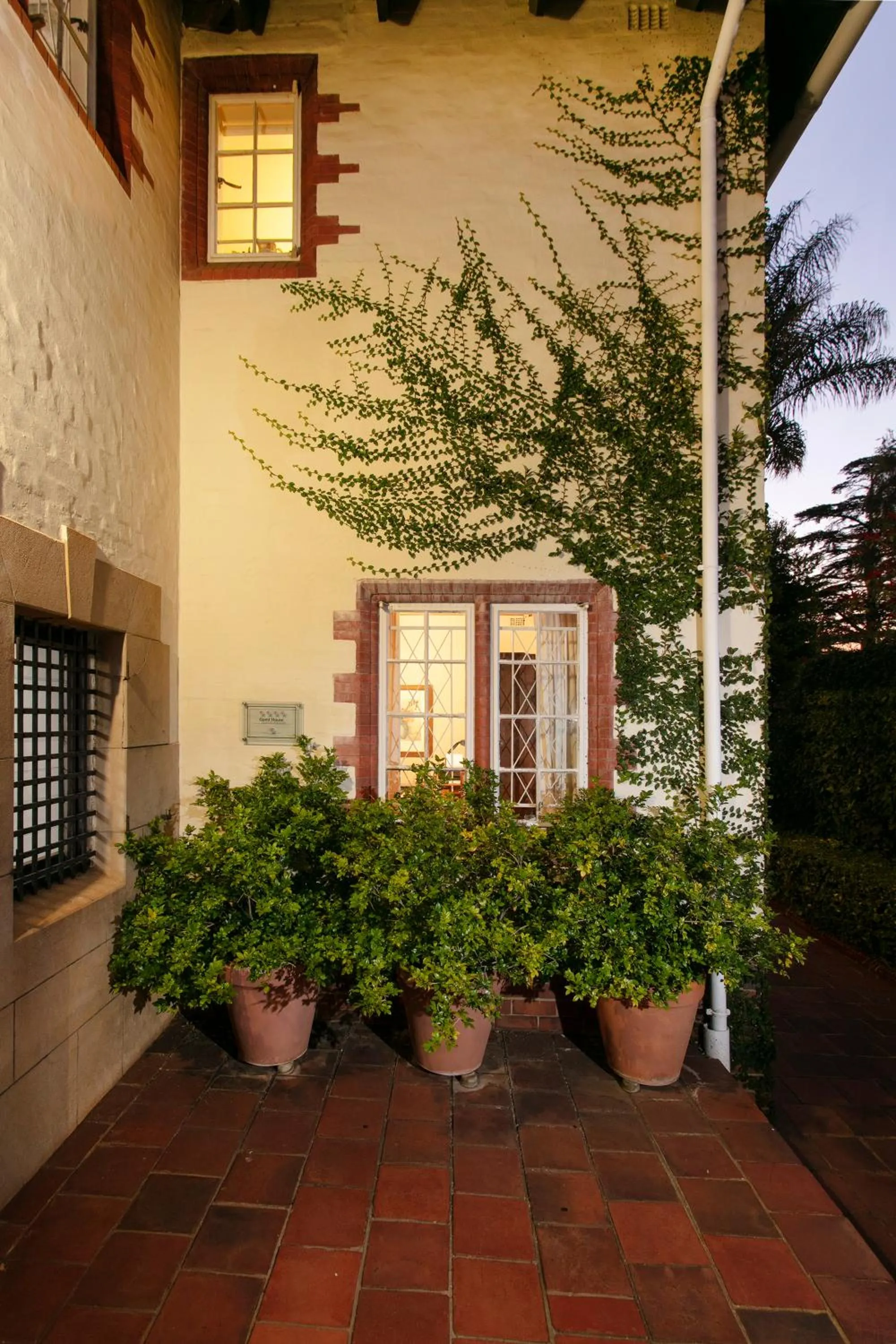 Garden in Brooklyn Manor