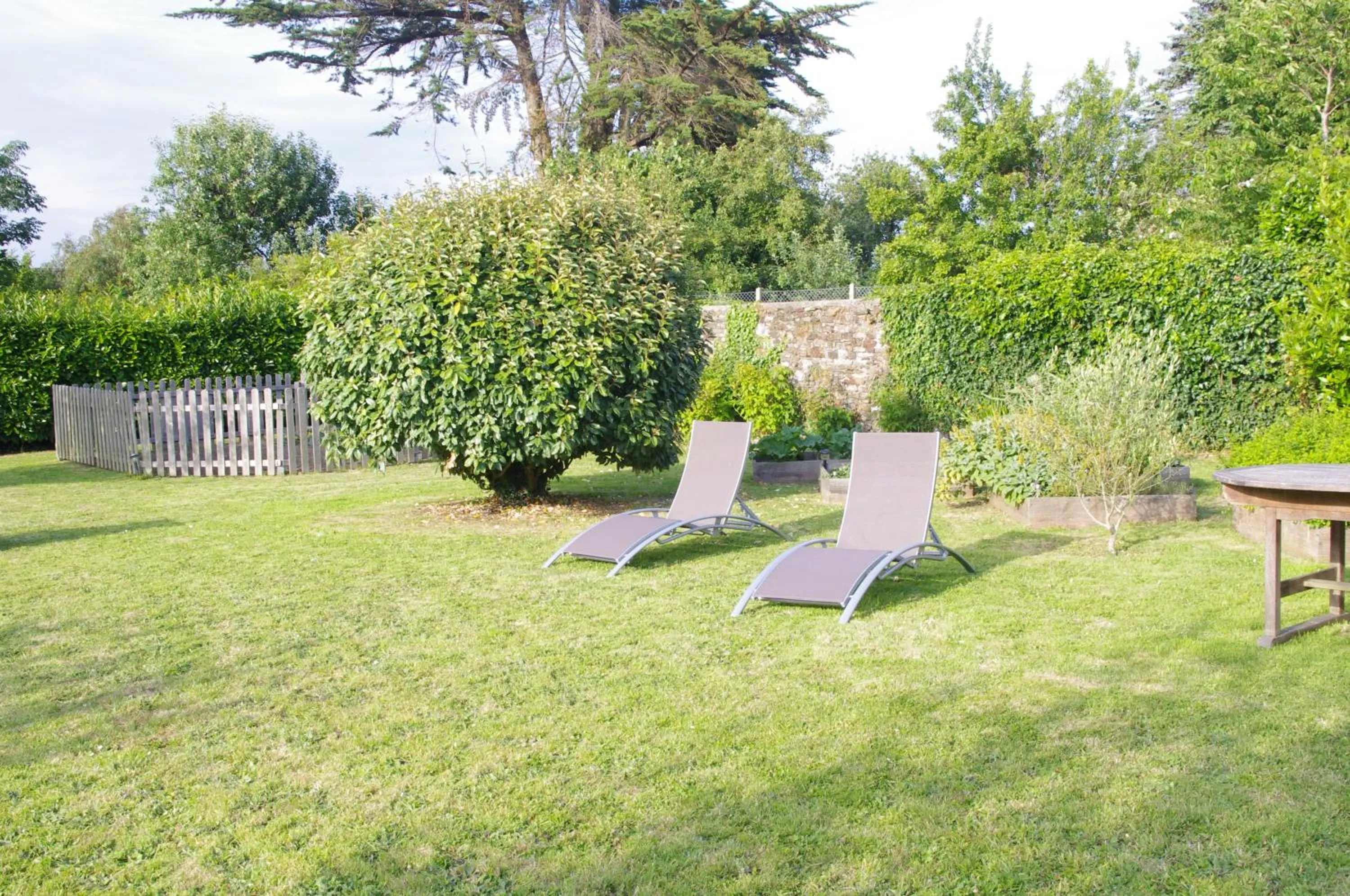 Garden in Hôtel De Paris