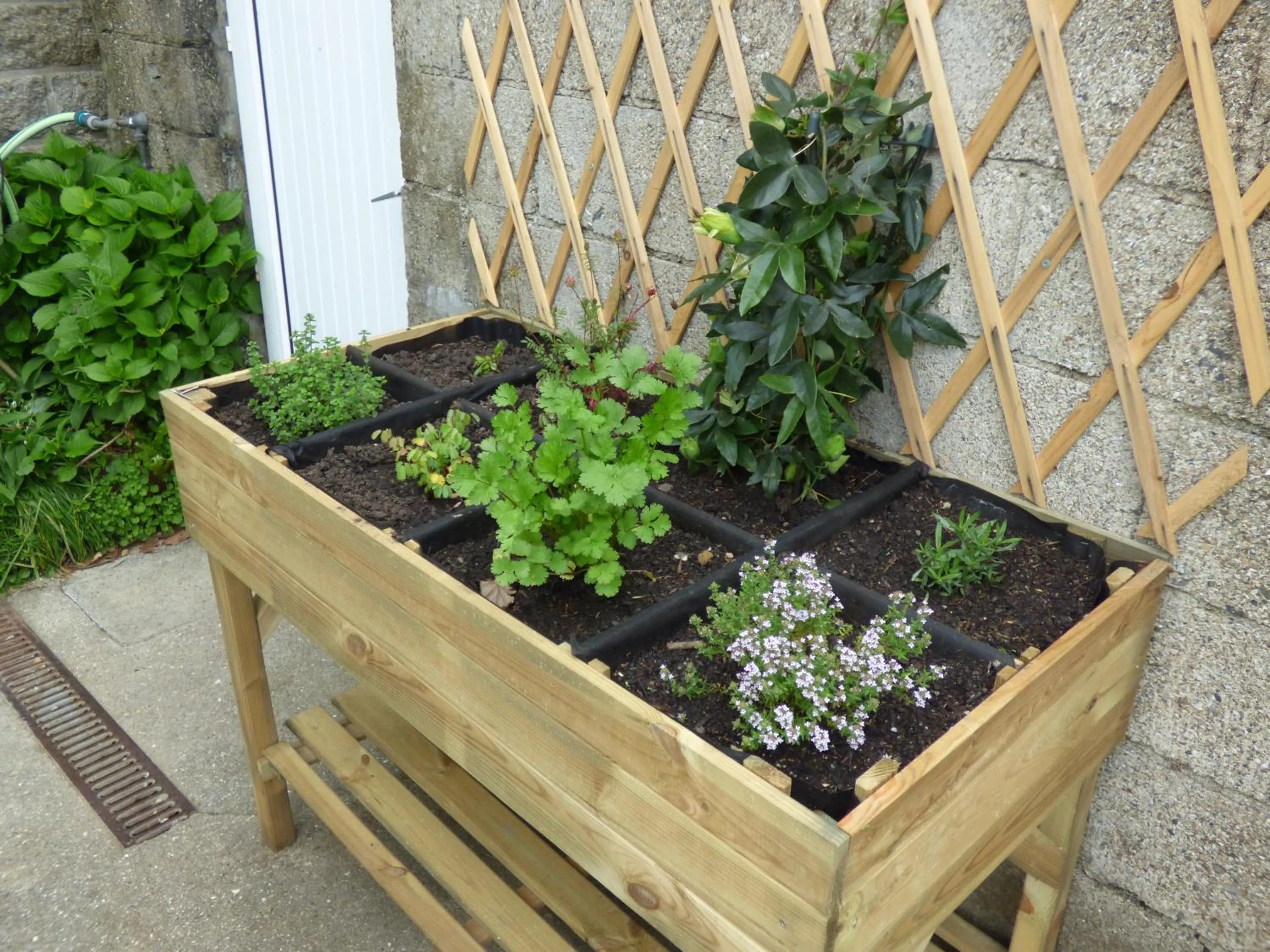 Garden in Auberge De L'Abbaye-Logis Hôtel Restaurant
