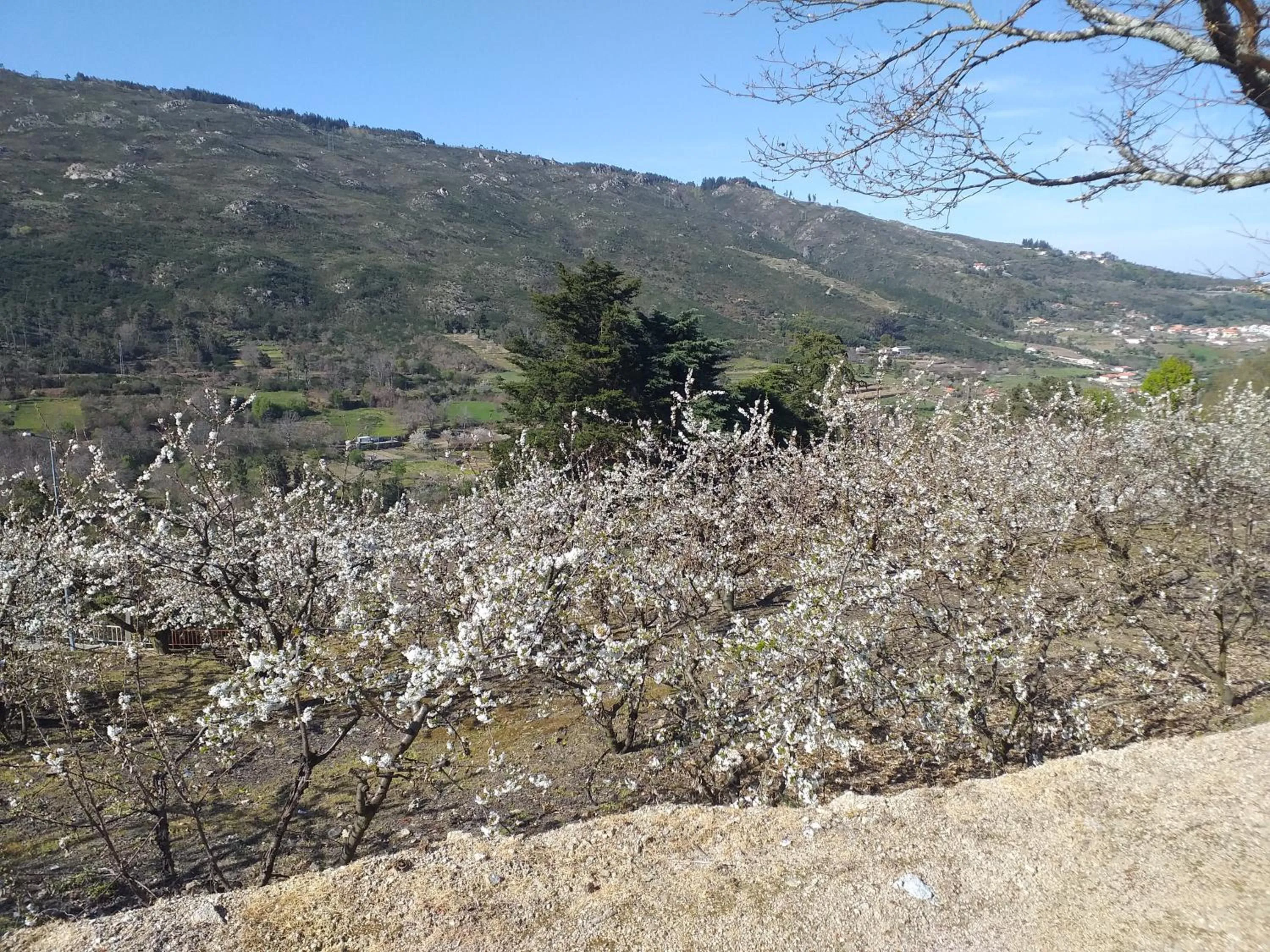 Natural landscape in Quinta da Timpeira
