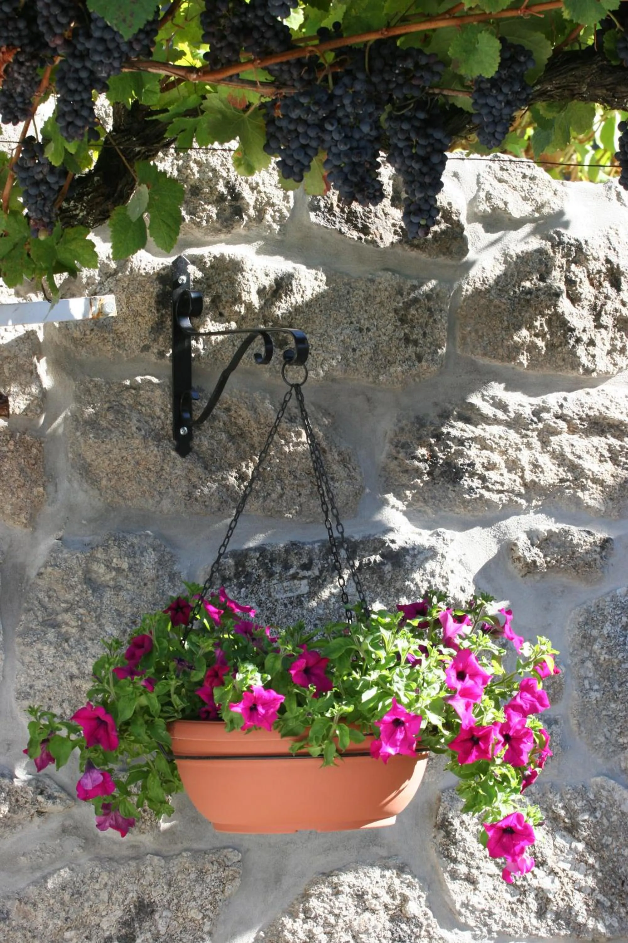 Patio in Quinta da Timpeira