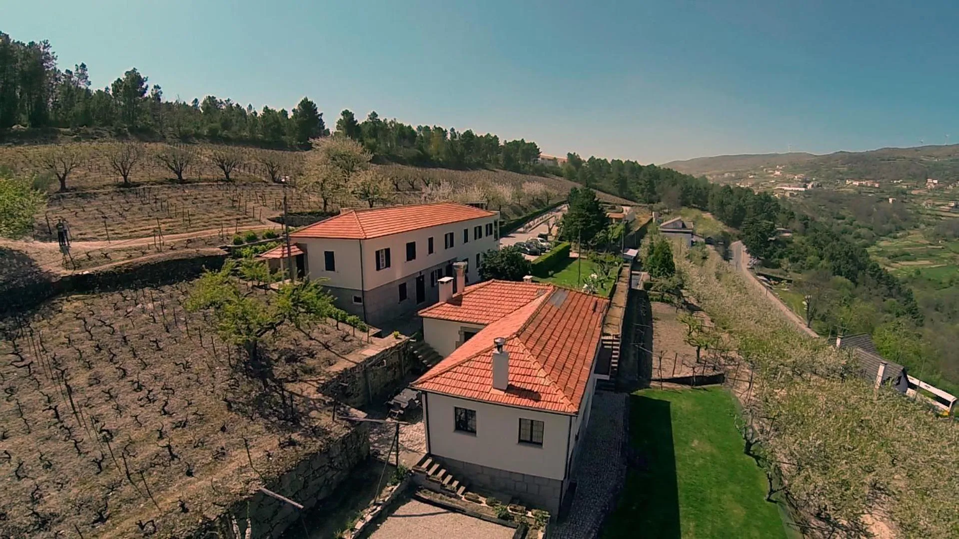 Bird's eye view in Quinta da Timpeira