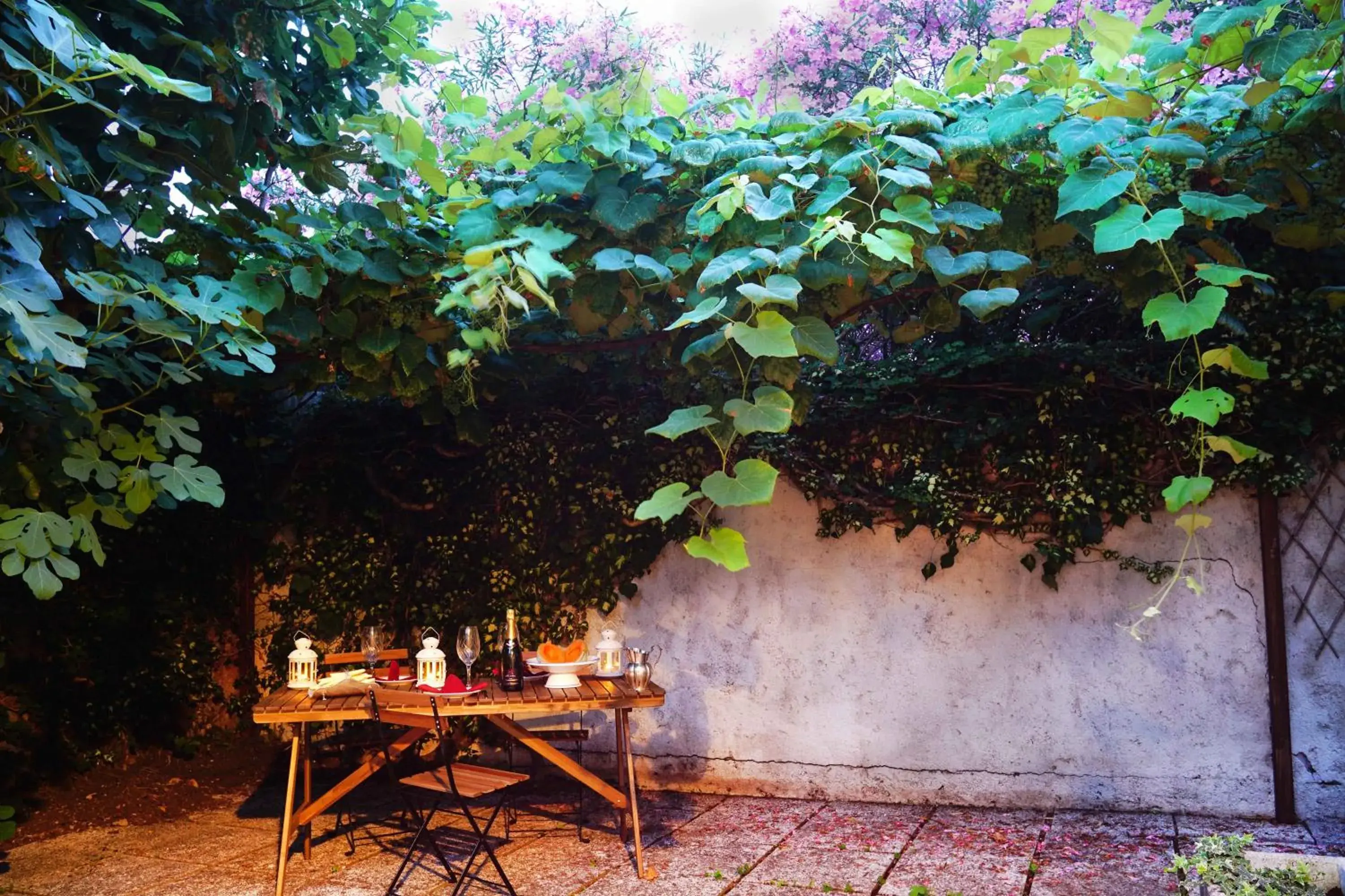 La Maisonette et son Jardin La Maisonette et son Jardin