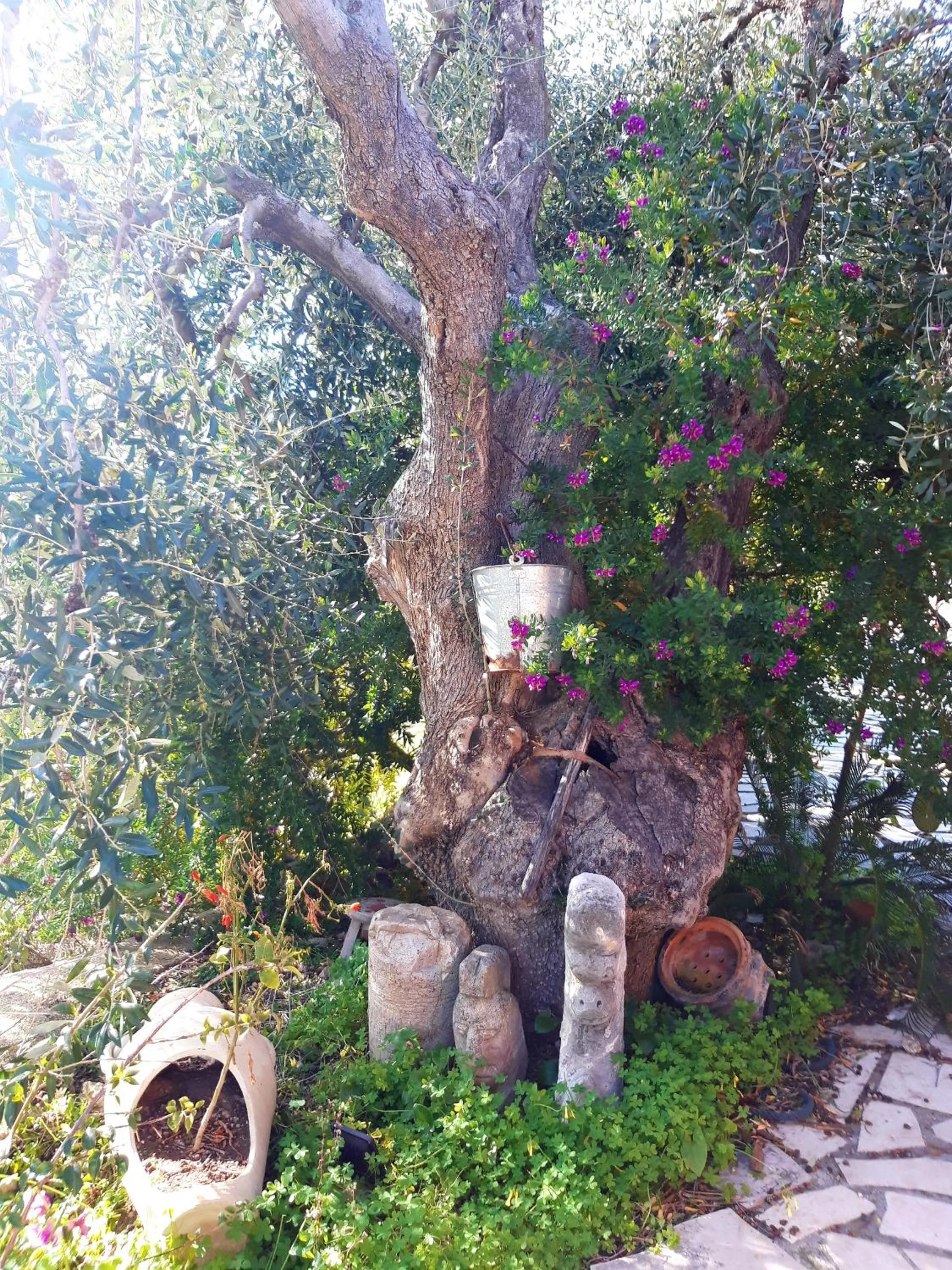 Borgo Degli Ulivi Rooms