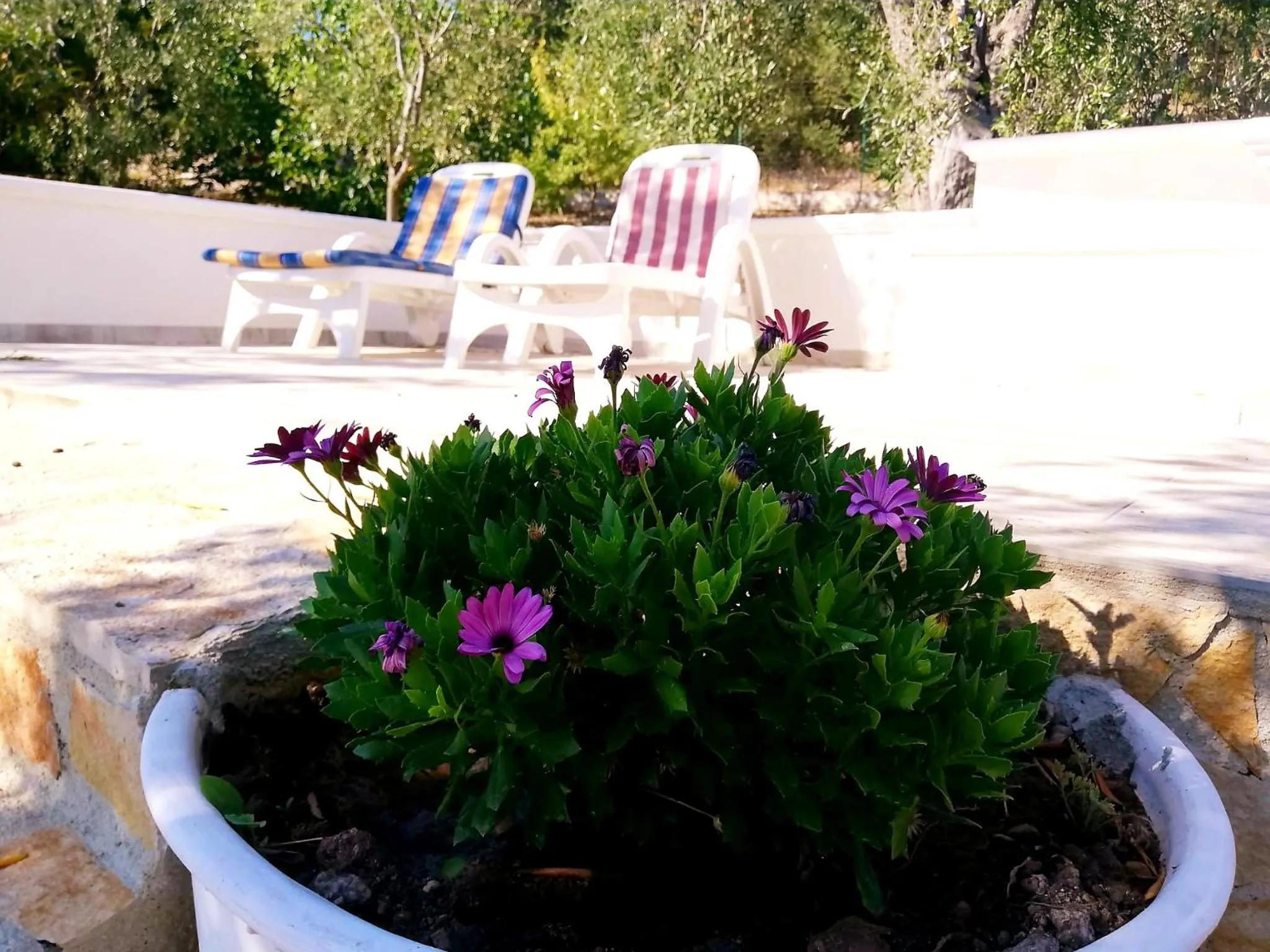 Borgo Degli Ulivi Rooms