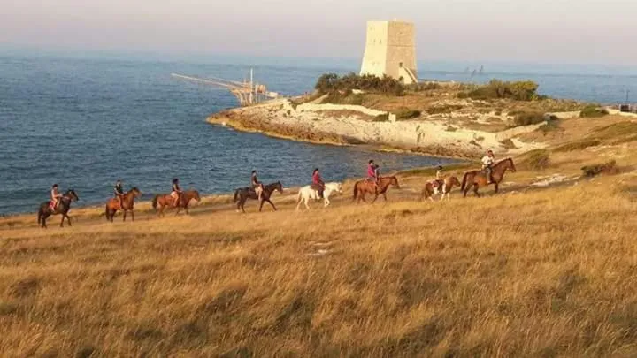 Borgo Degli Ulivi Rooms