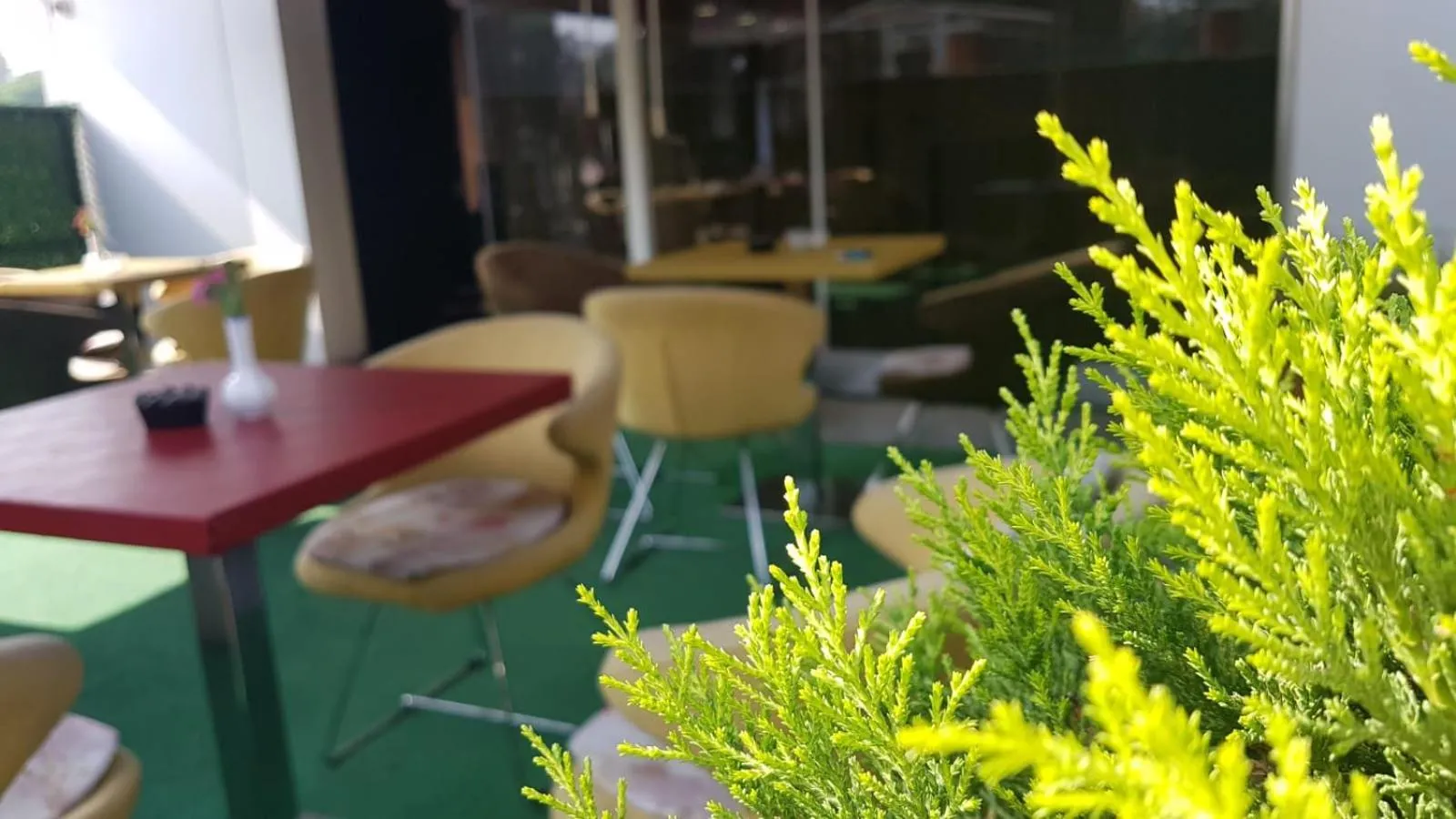 Garden in Lioncity Hotel