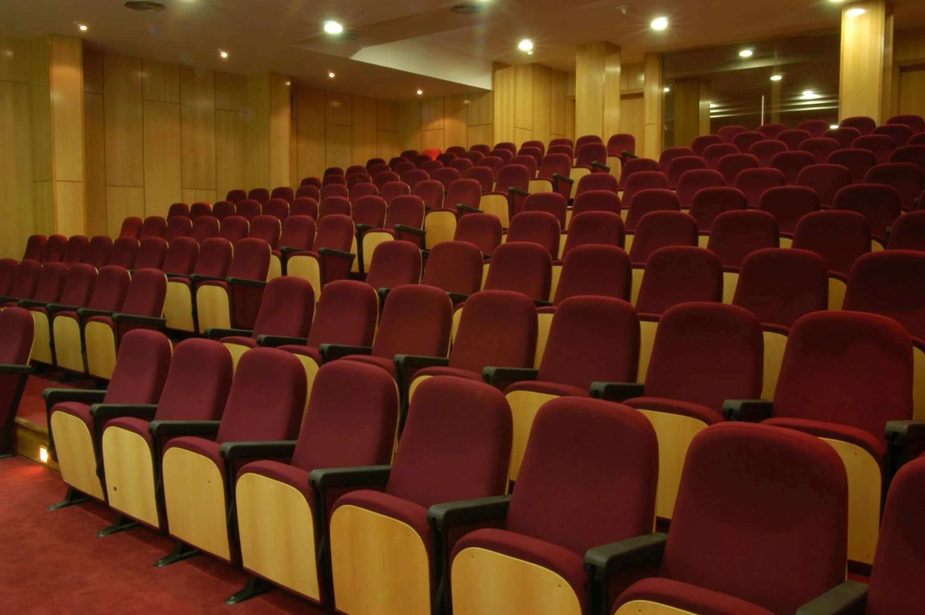 Meeting/conference room in Hotel Do Parque - Congress & SPA